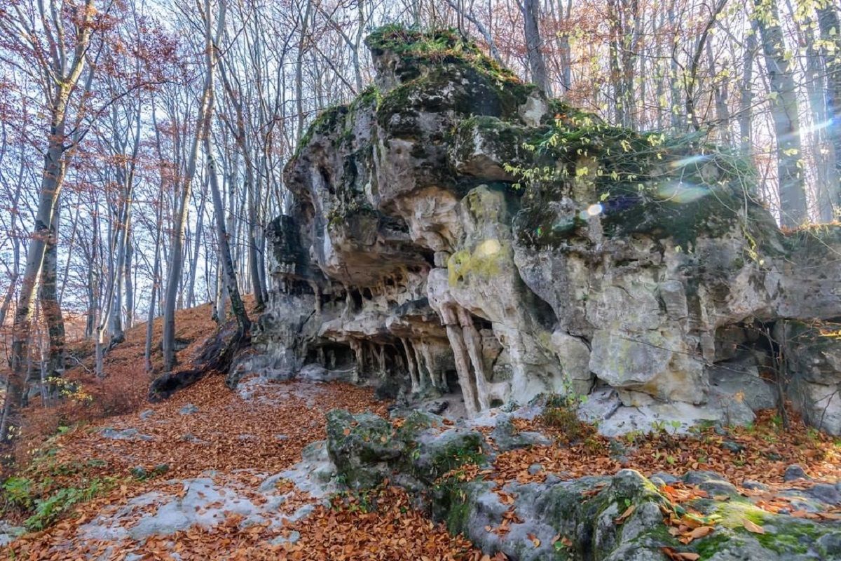 Грот Прийма - де знаходить, що відомо - куди поїхати біля Львова на вихідні - Travel Грот Прийма - де знаходить, що відомо - куди поїхати біля Львова на вихідні - Travel