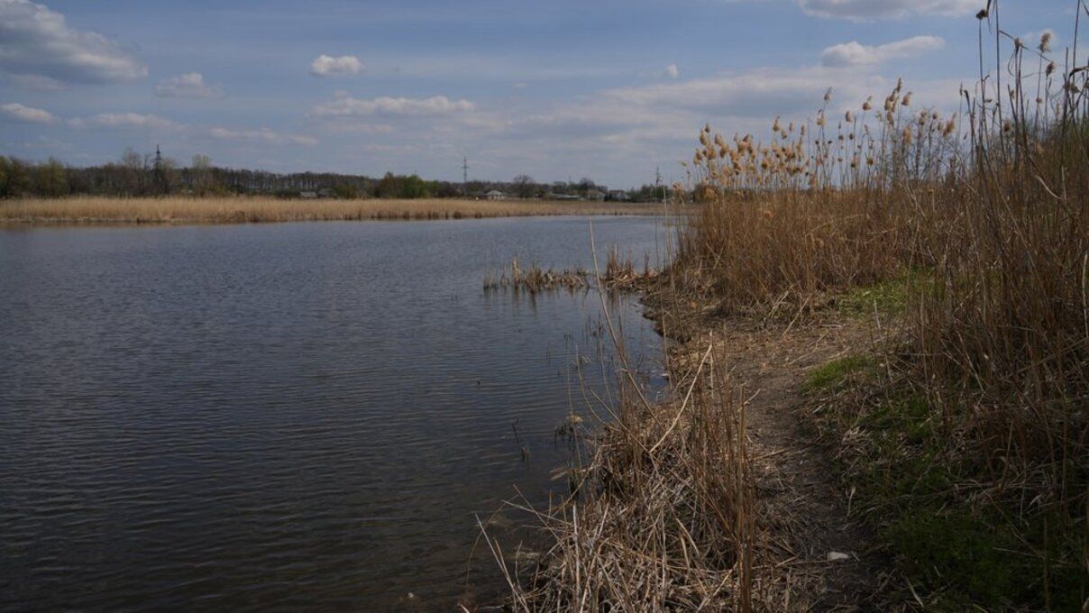 Озеро Викнина в Хмельницкой области - чем оно уникально и почему называют Озером привидений Озеро Викнина в Хмельницкой области - чем оно уникально и почему называют Озером привидений