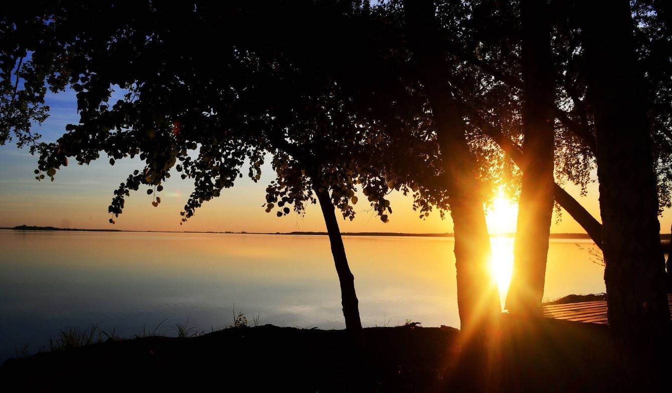 Можно ли купаться в Шацких озерах летом 2025 - какая вода в Шацких озерах - Travel