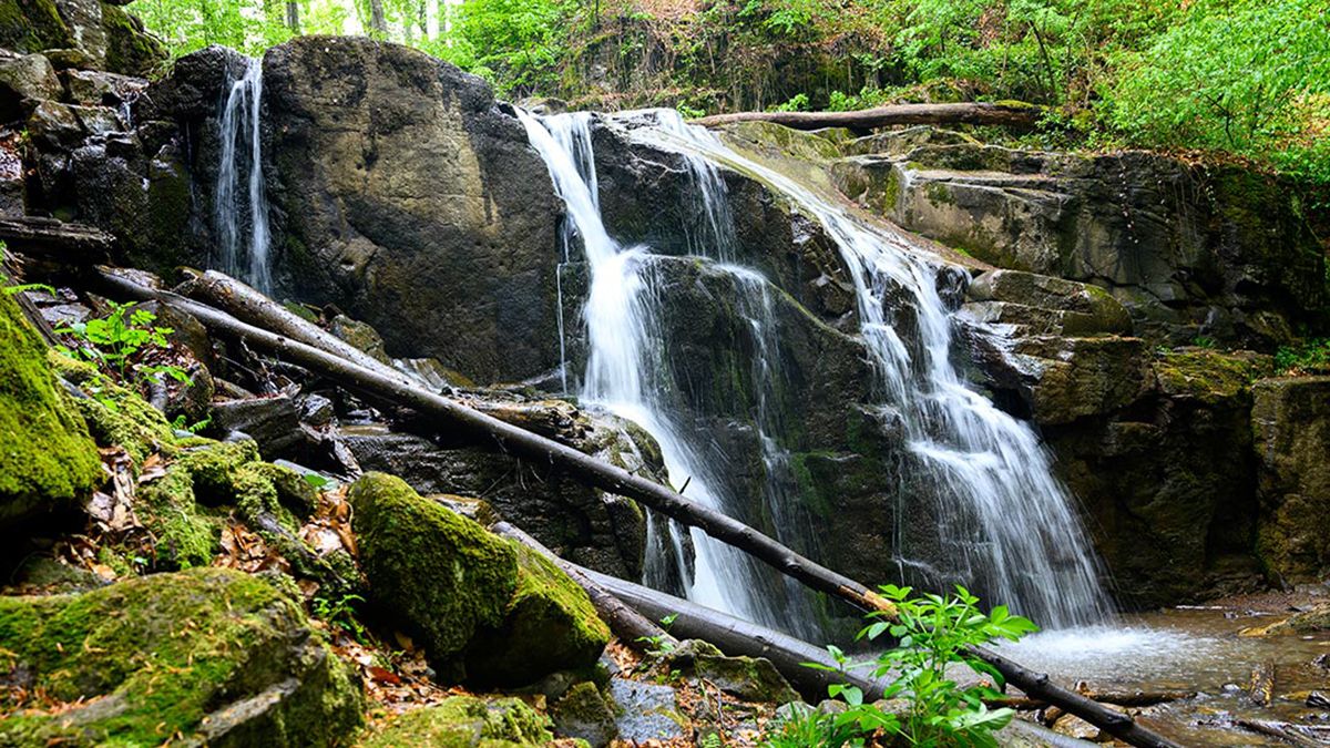 Водоспад Скакало - як виглядає загадковий водоспад біля Мукачево Водоспад Скакало - як виглядає загадковий водоспад біля Мукачево