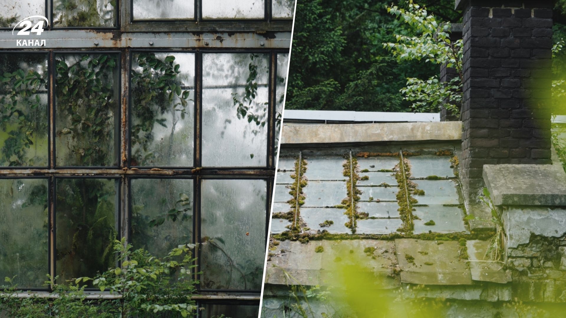 Ботанический сад во Львове - чем уникально это место и почему его стоит посетить Ботанический сад во Львове - чем уникально это место и почему его стоит посетить