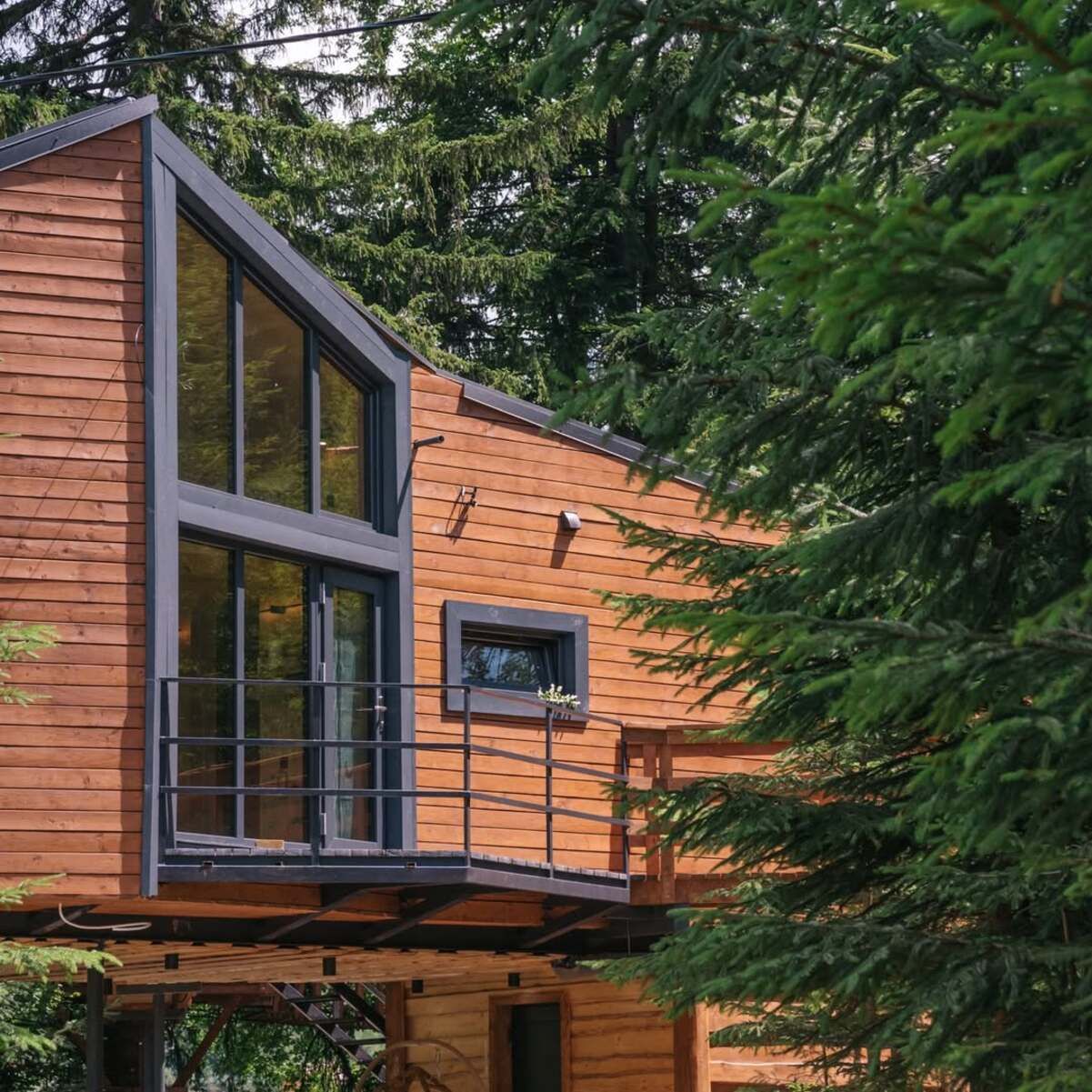 Домик на дереве в Карпатах - где он расположен и как выглядит - Travel Домик на дереве в Карпатах - где он расположен и как выглядит - Travel