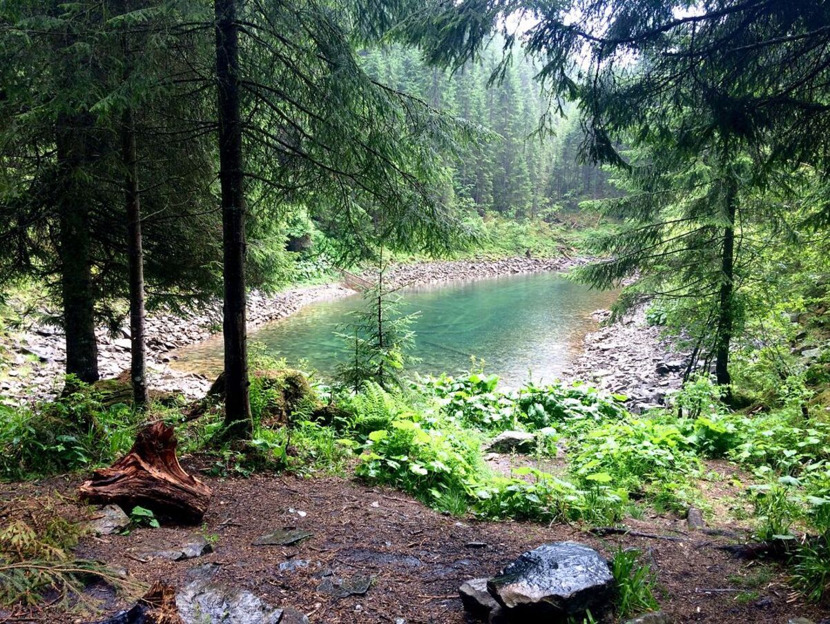 Озеро Росохан - скрытая жемчужина Карпат, где оно расположено - Travel Озеро Росохан - скрытая жемчужина Карпат, где оно расположено - Travel