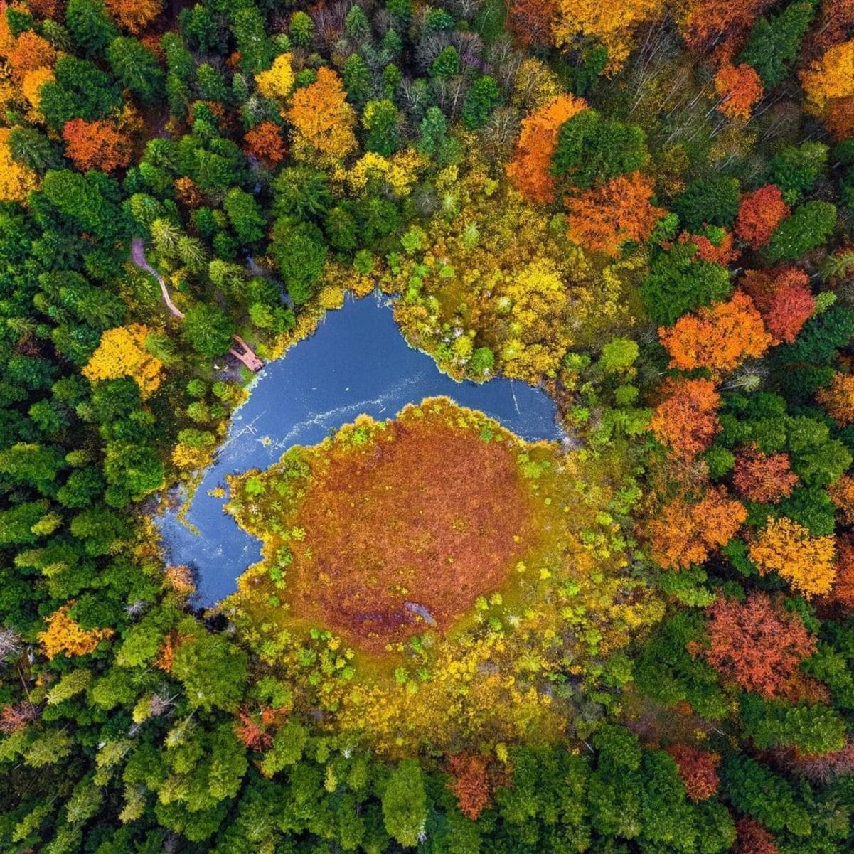 Журавлиное или Мертвое озеро на Львовщине - где оно расположено - Travel