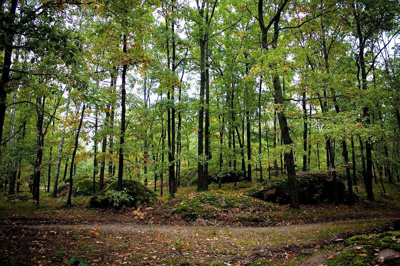 Камінне село називають українським Стоунхенджем - як доїхати в Камінне село - Travel Камінне село називають українським Стоунхенджем - як доїхати в Камінне село - Travel