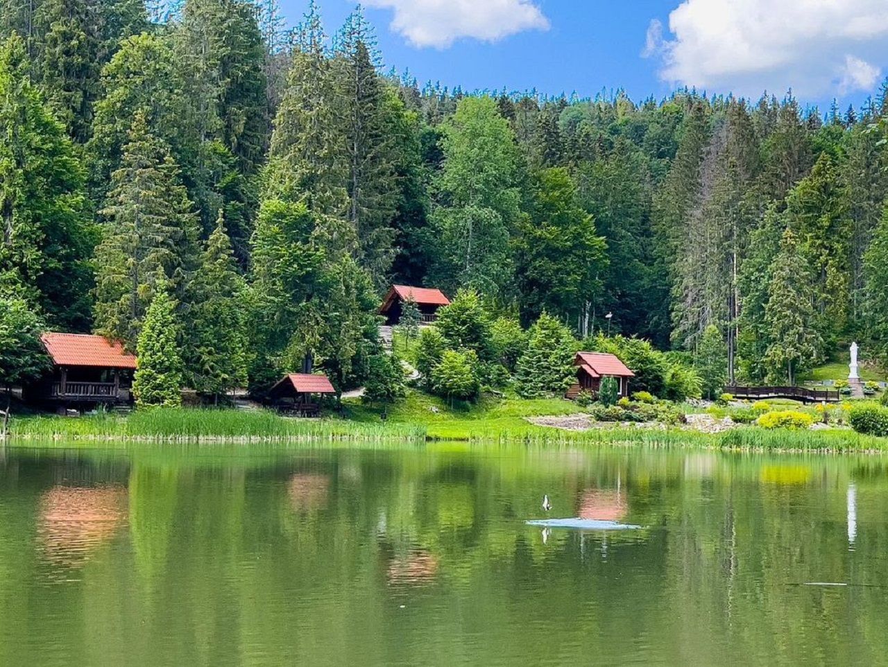 Озеро Віта на Закарпатті - як добратися, де знаходиться і що відомо - Travel Озеро Віта на Закарпатті - як добратися, де знаходиться і що відомо - Travel