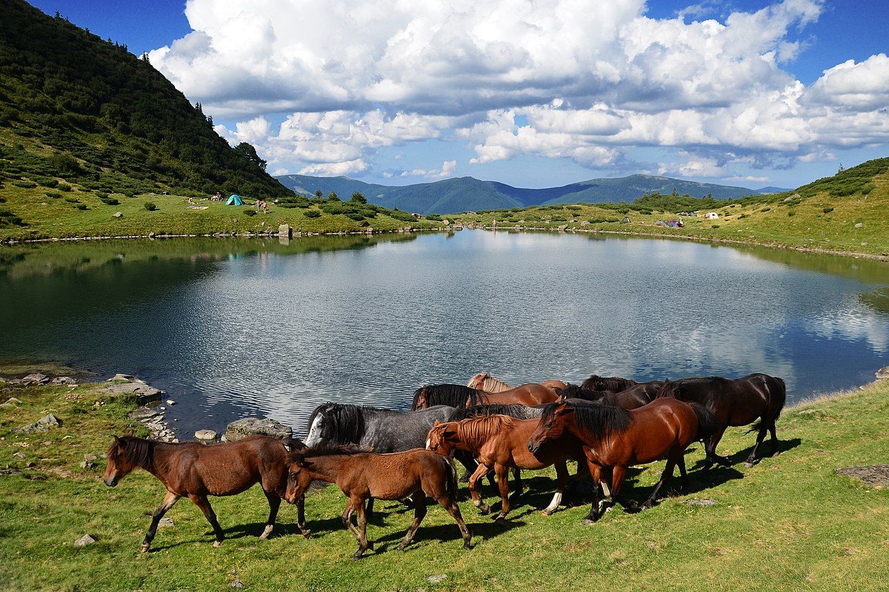 Поход на Ворожеское озеро - как доехать и где находится горное озеро - Travel Поход на Ворожеское озеро - как доехать и где находится горное озеро - Travel