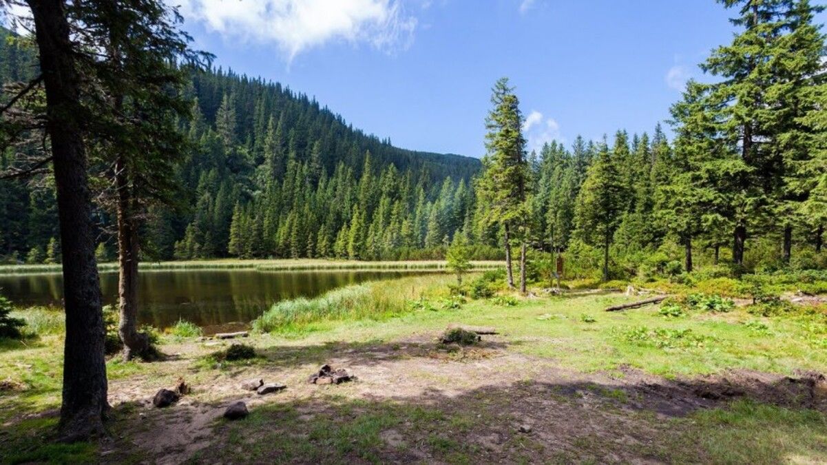 Мальовниче озеро в Карпатах з дівочою назвою - про нього існує відома легенда - Travel