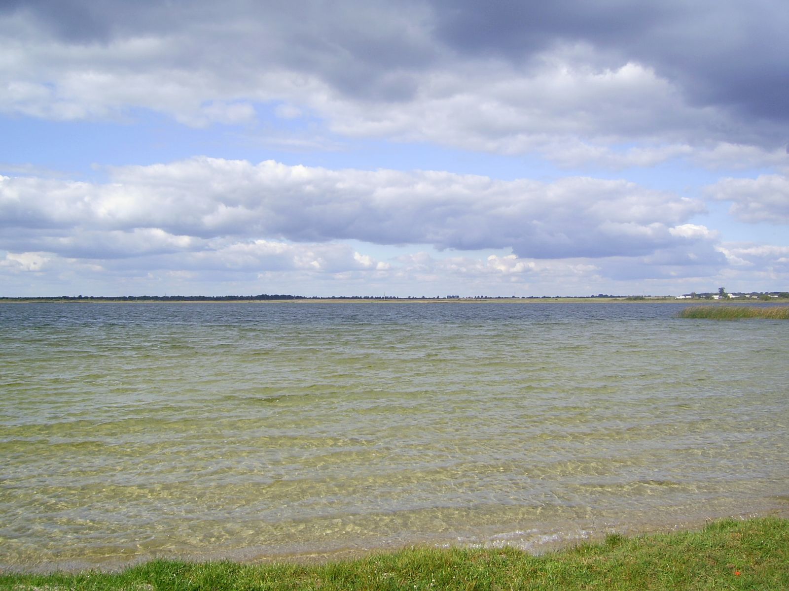 Озеро на Волині, де начебто живе чудовисько - Travel Озеро на Волині, де начебто живе чудовисько - Travel