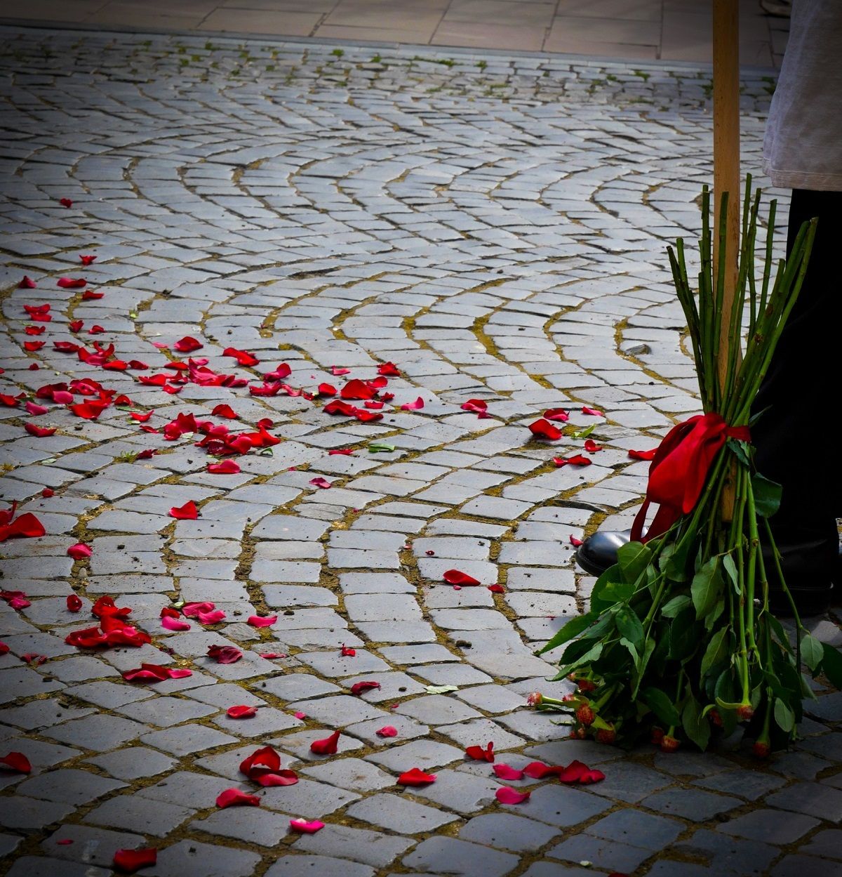 На вулиці Кобилянської у Чернівцях з'явився маршрут з трояндами - Travel