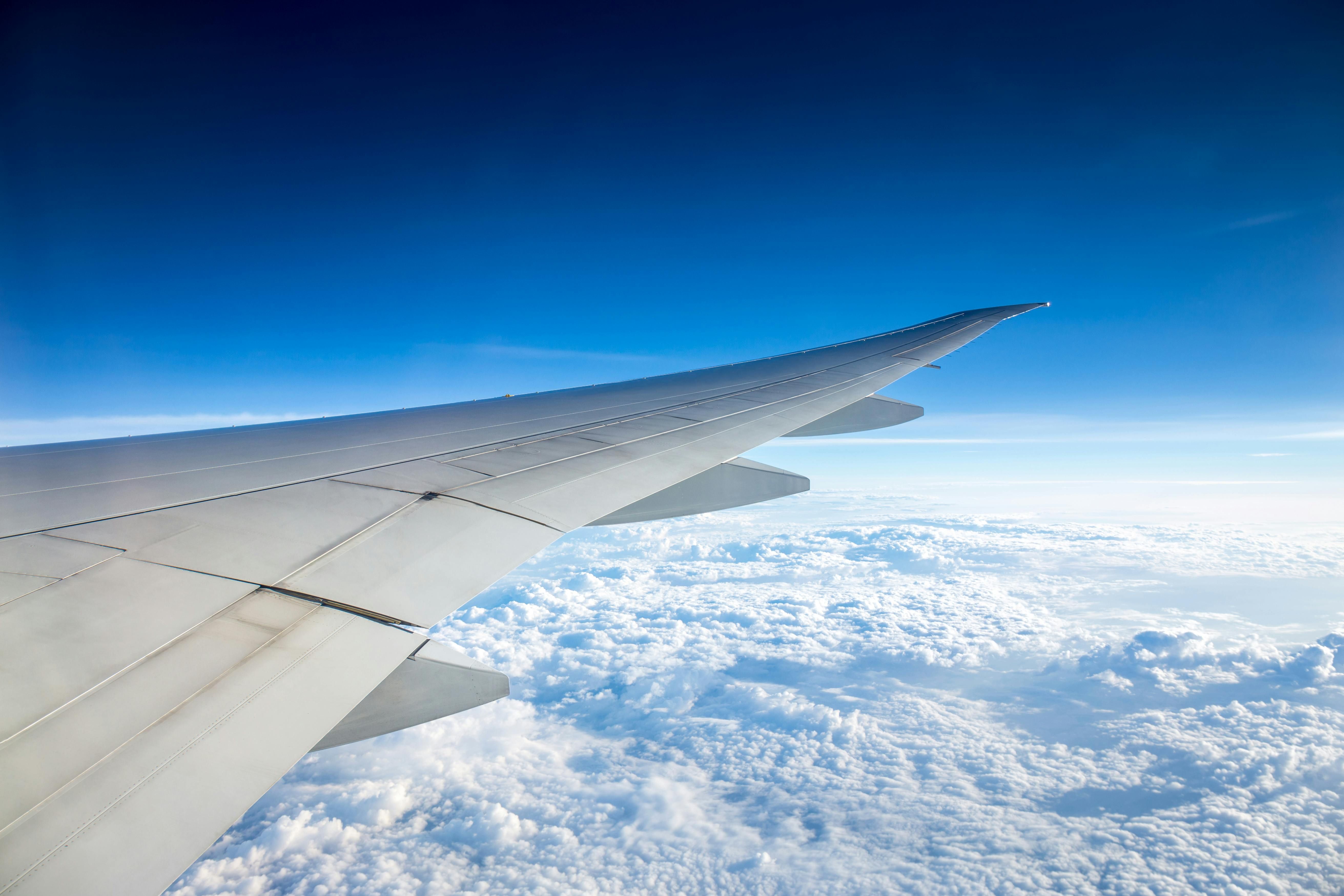 Як опустити підлокітники у літаку - стюардеса назвала таємну кнопку