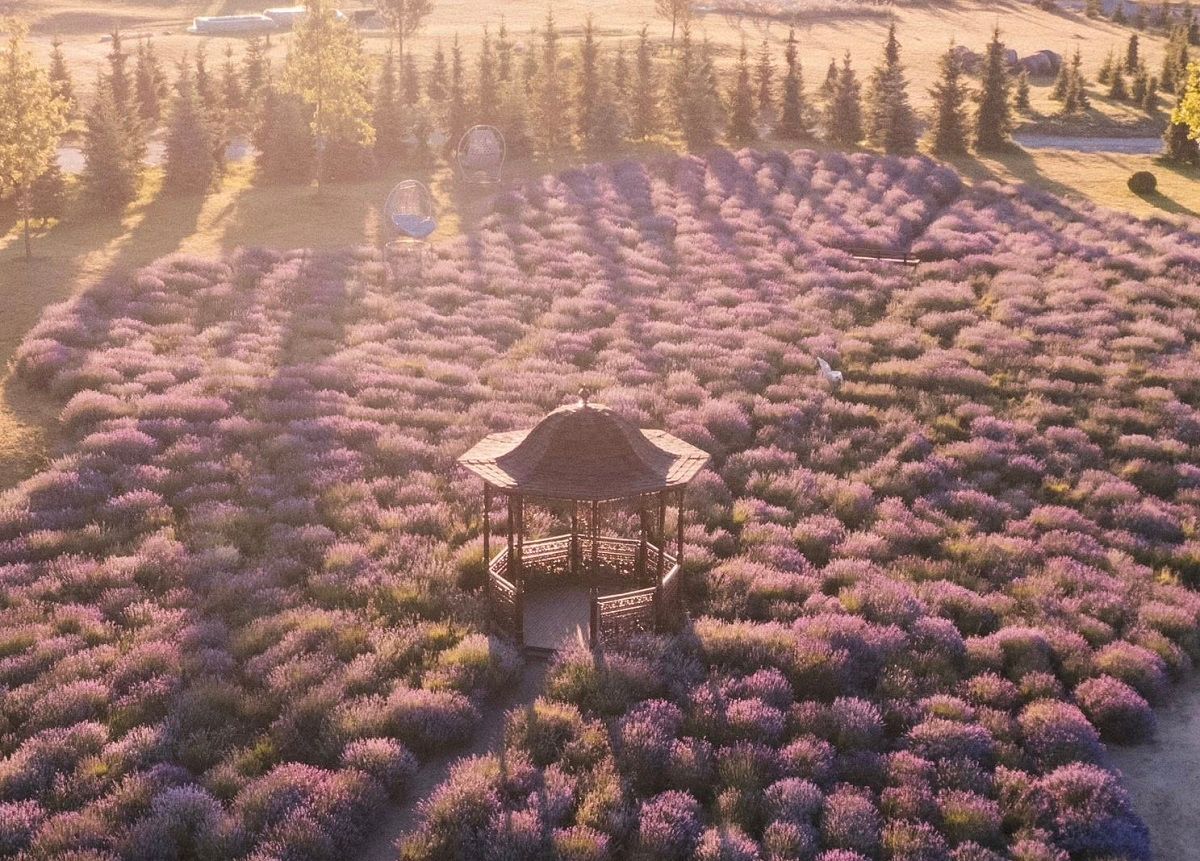 Куда поехать из Киева на выходные в июле - Travel Куда поехать из Киева на выходные в июле - Travel