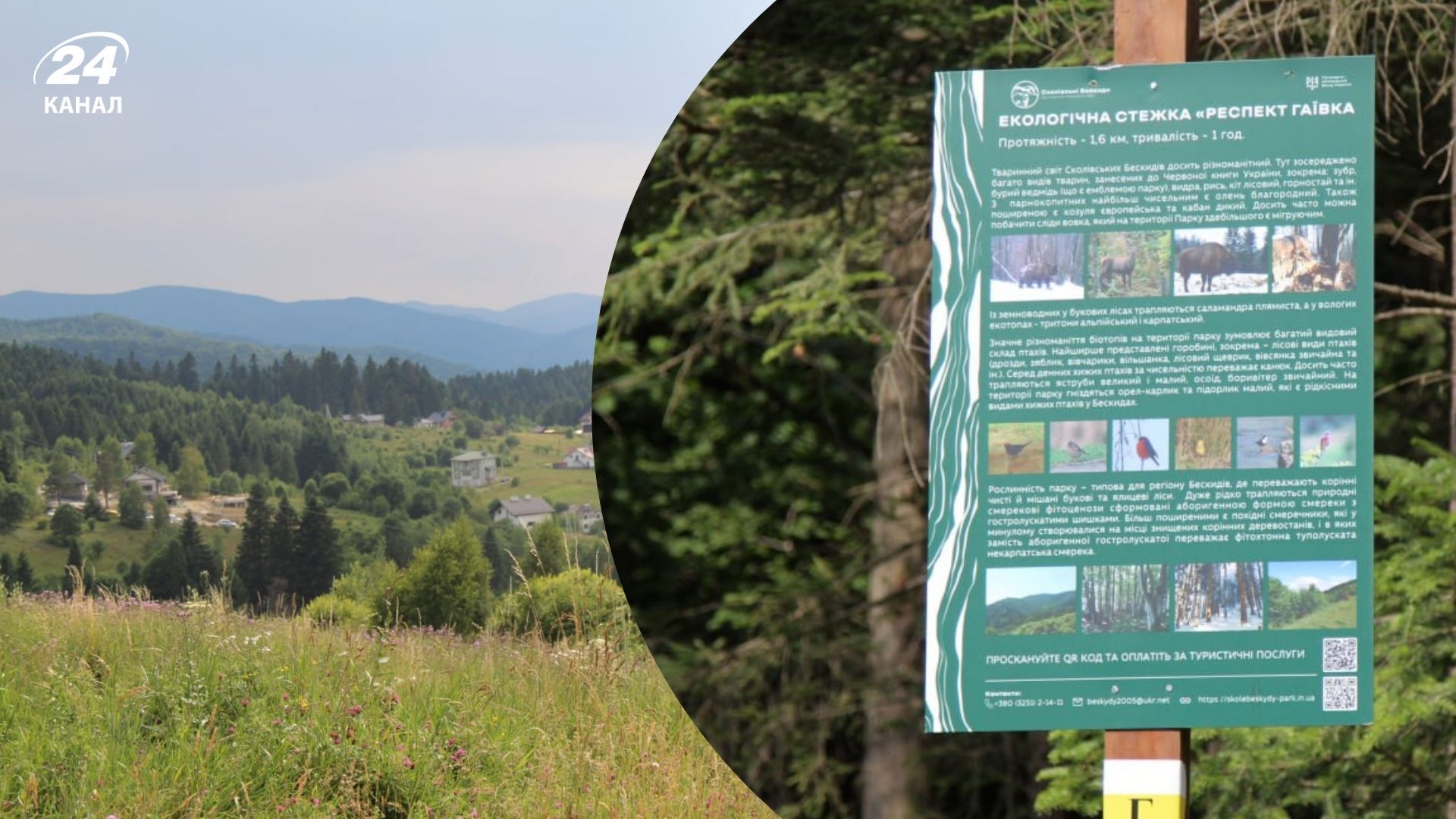 В Сходнице открыли туристический маршрут, который доступен для людей с инвалидностью