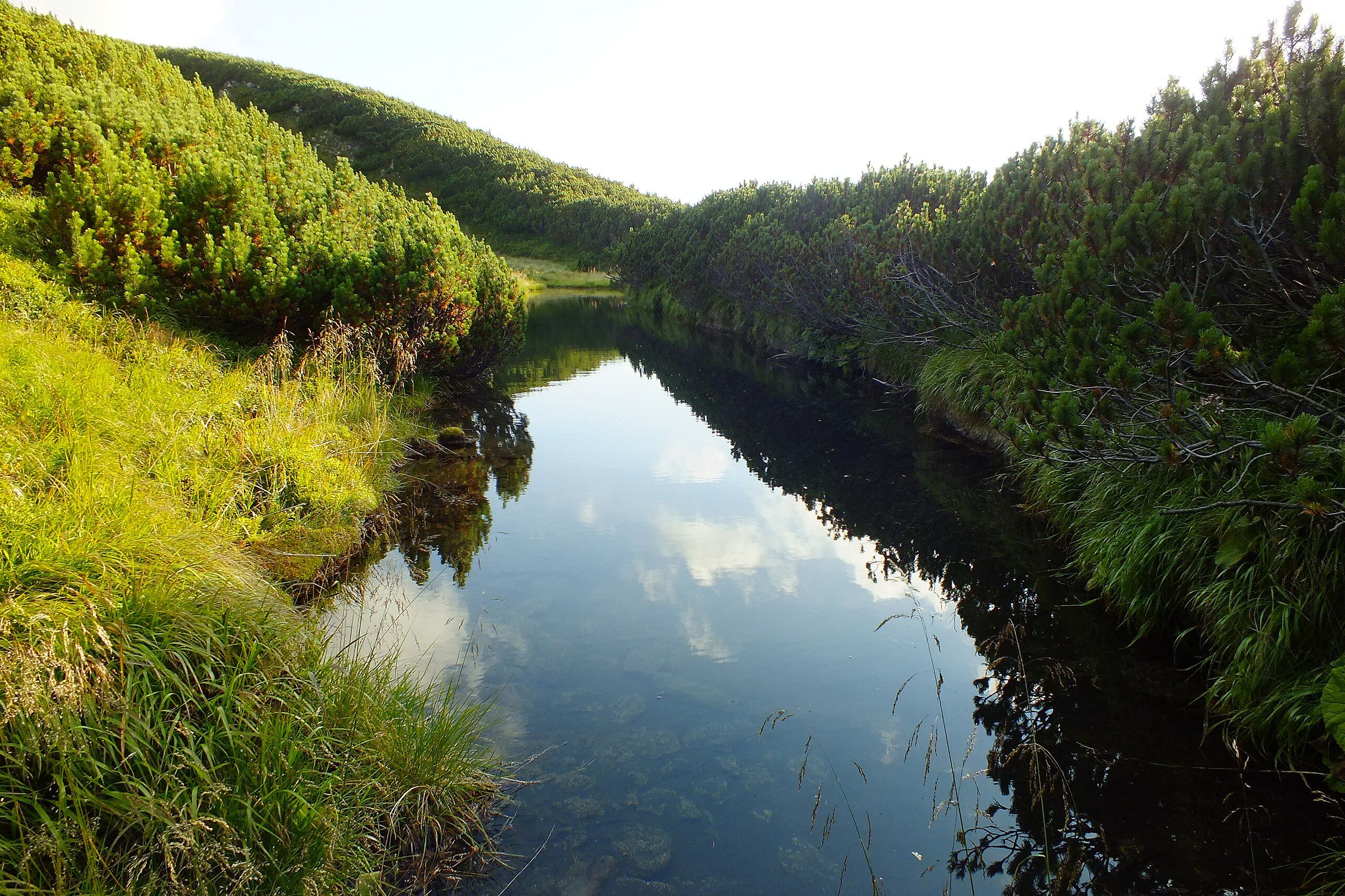 Найглибше озеро в масиві Чорногора - озеро Верхнє, де його шукати - Travel Найглибше озеро в масиві Чорногора - озеро Верхнє, де його шукати - Travel