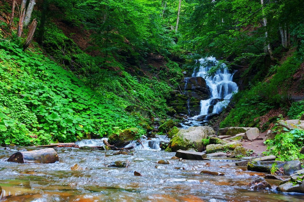 Водопад Шипот называют одним из самых красивых в Украине - чем он особенный - Travel Водопад Шипот называют одним из самых красивых в Украине - чем он особенный - Travel