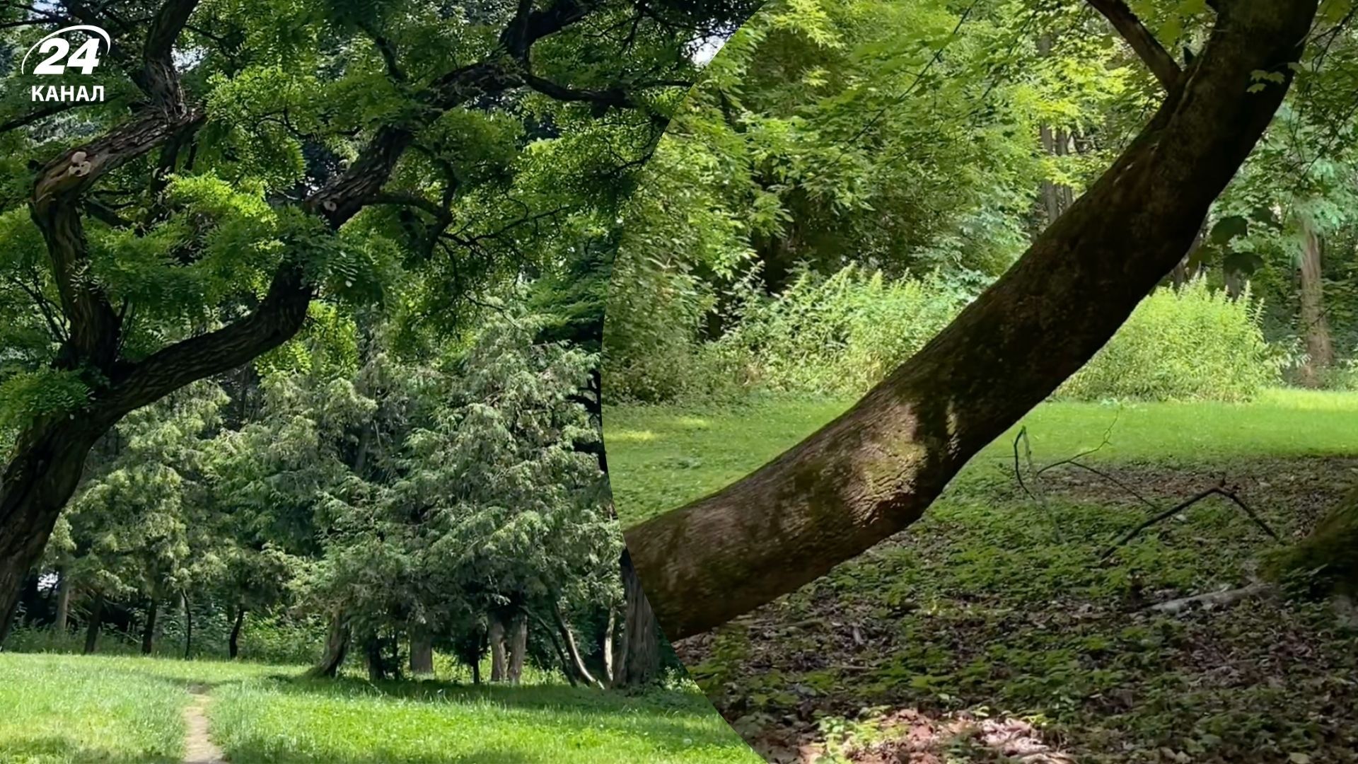 Снопковский парк во Львове - откройте для себя локацию для потрясающих фото - Travel Снопковский парк во Львове - откройте для себя локацию для потрясающих фото - Travel
