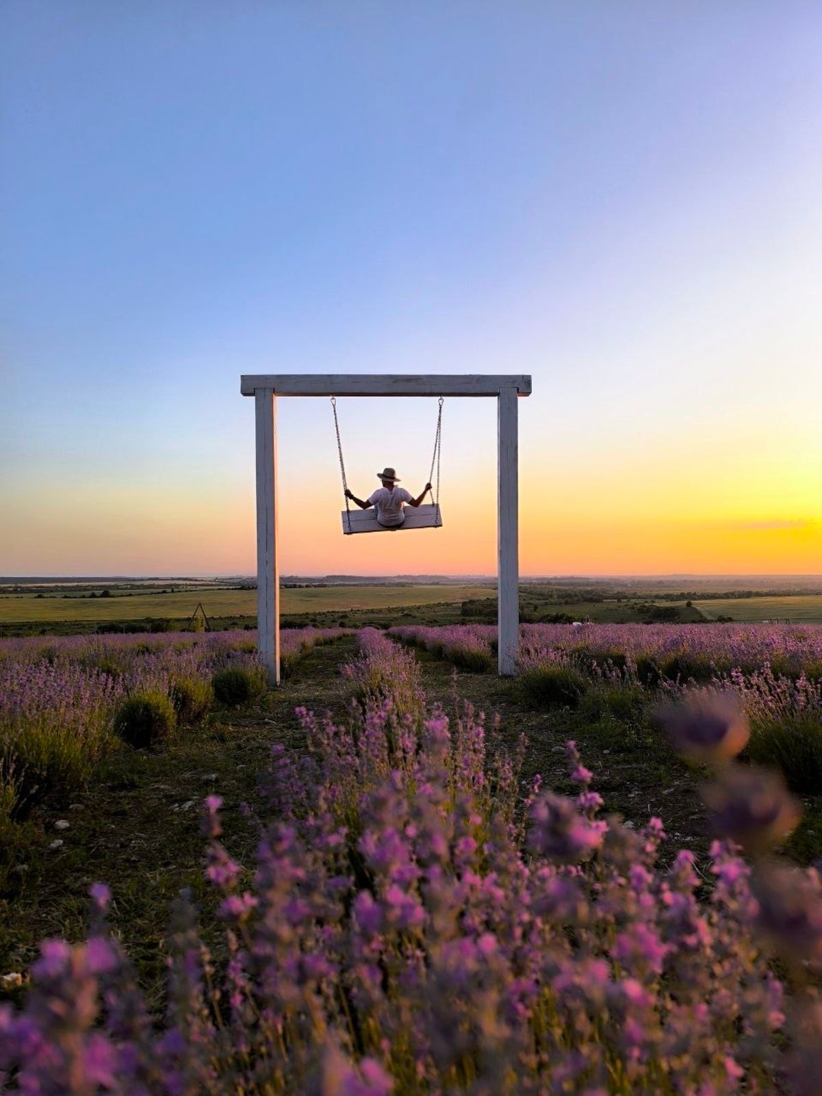 Лавандовое поле на Львовщине занесли в Книгу рекордов Украины - Travel Лавандовое поле на Львовщине занесли в Книгу рекордов Украины - Travel