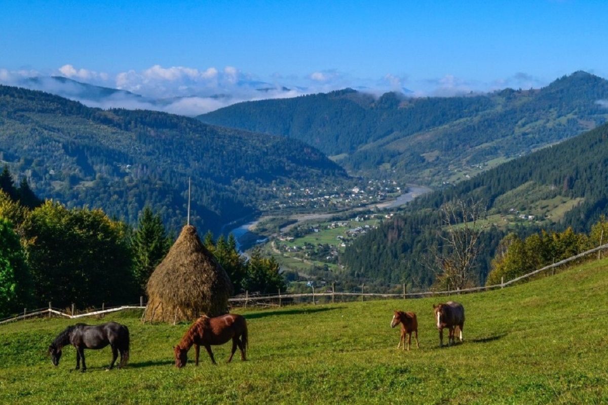 Где бюджетно отдохнуть в Карпатах - что известно и где находится село Белоберезка - Travel