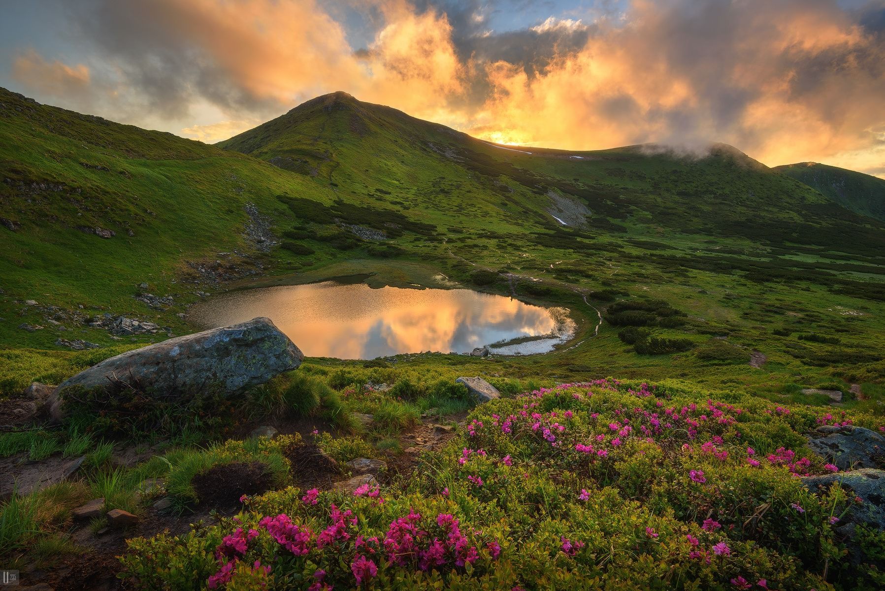 Адвокат пояснив, чому заборонено купатися у гірських озерах Карпат - Travel