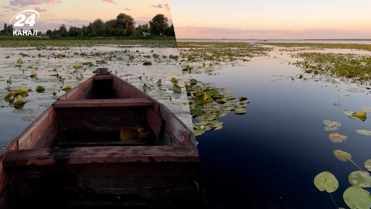 Озеро Турське на Волині