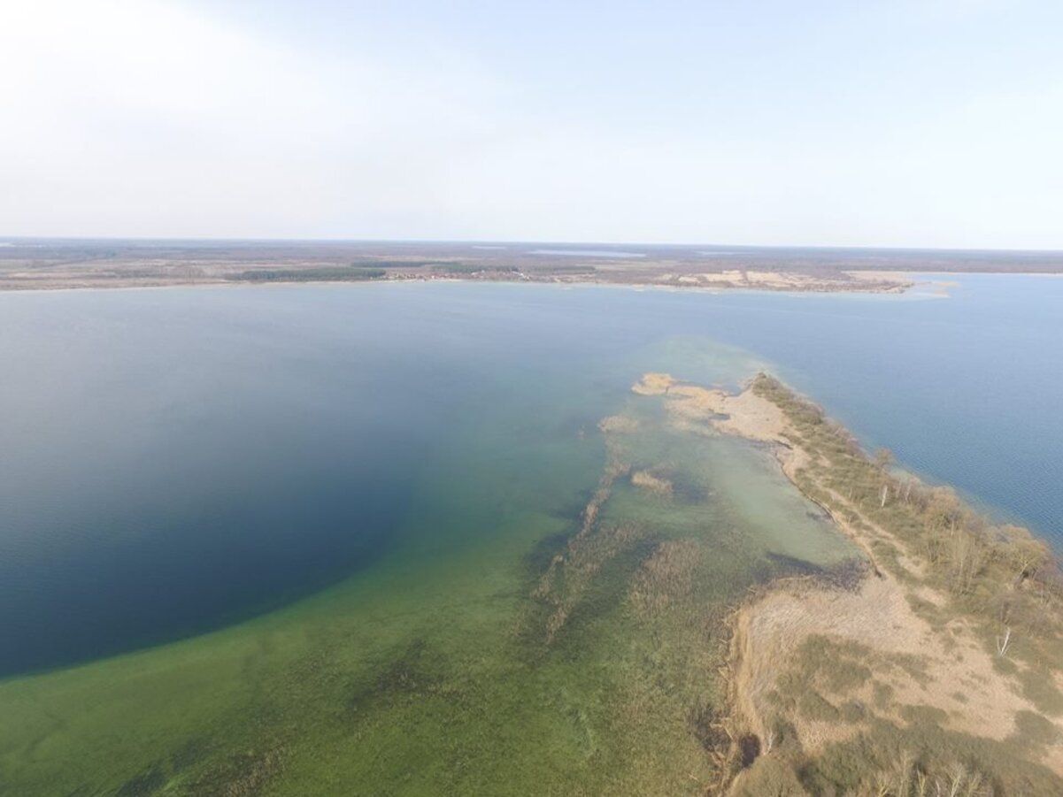 Одне з Шацьких озер має форму серця - що це за водойма, що про неї відомо - Travel Одне з Шацьких озер має форму серця - що це за водойма, що про неї відомо - Travel