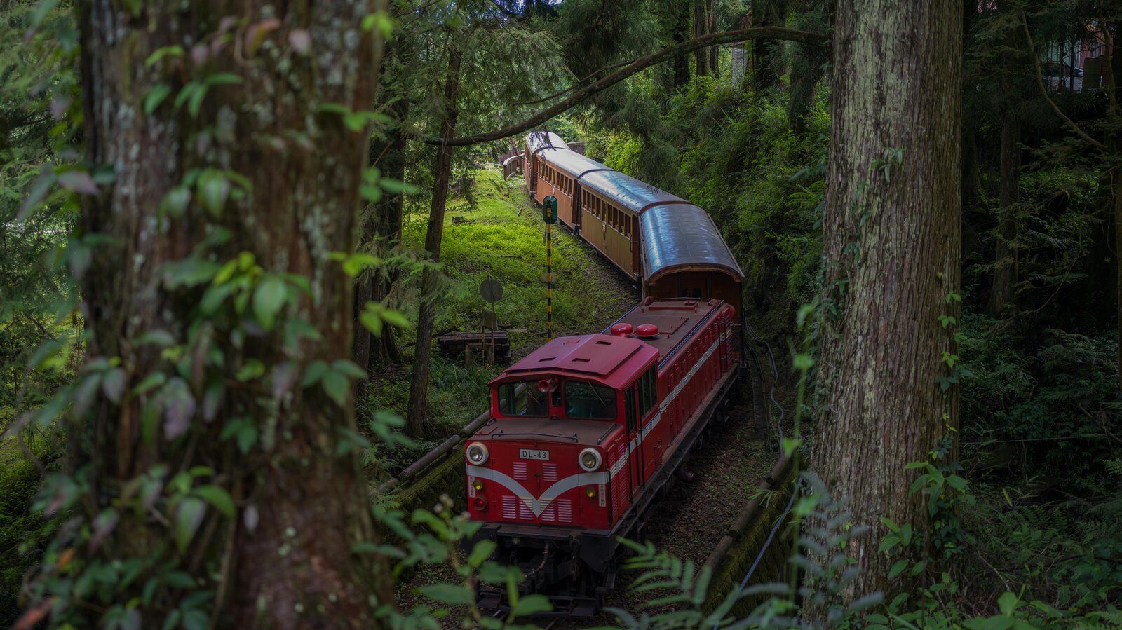Унікальний потяг, що курсує між горами і перетинає чотири кліматичні зони - Travel Унікальний потяг, що курсує між горами і перетинає чотири кліматичні зони - Travel