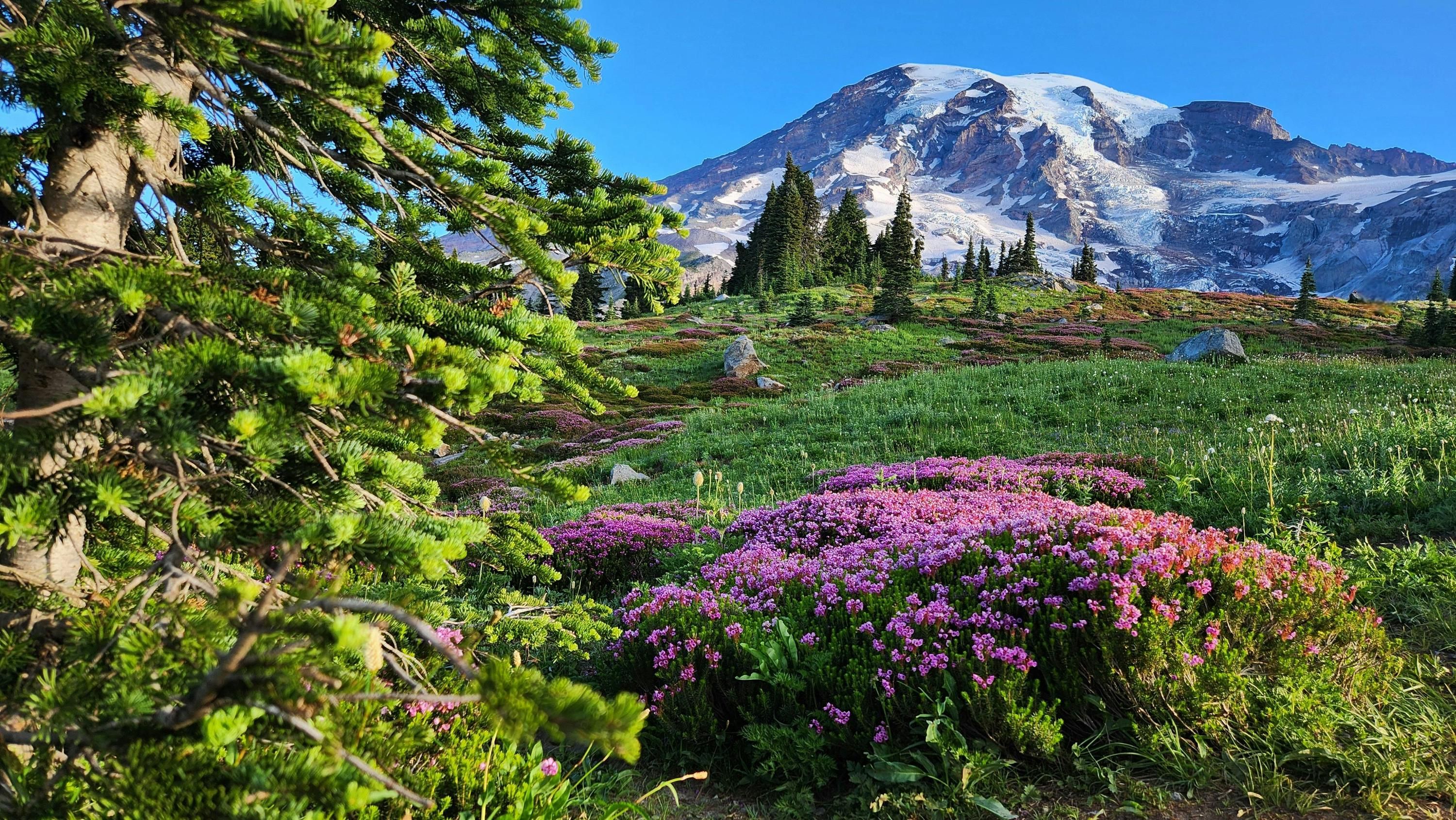 Альпы летом - 9 лучших городков для отдыха в горах - 9 лучших мест для отдыха в горах Альпы летом - 9 лучших городков для отдыха в горах - 9 лучших мест для отдыха в горах
