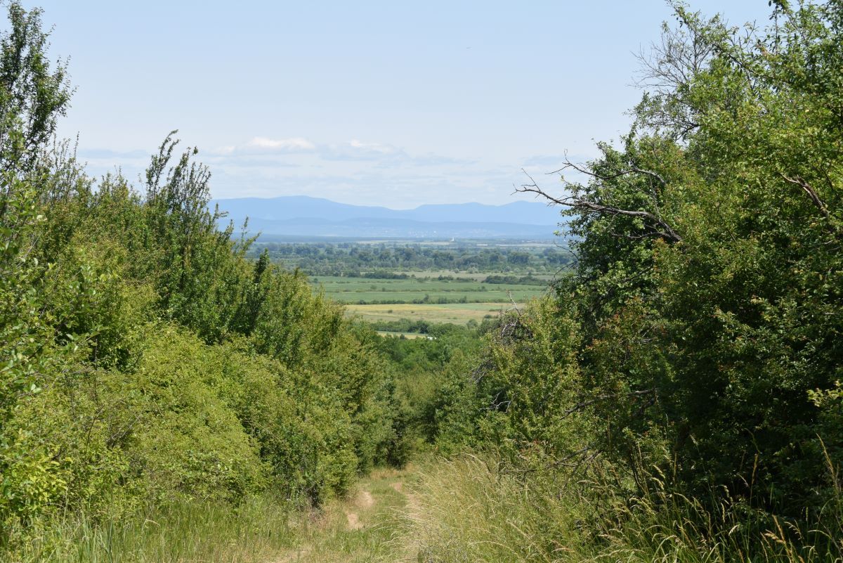 Археологи виявили на Закарпатті середньовічний замок - Travel Археологи виявили на Закарпатті середньовічний замок - Travel