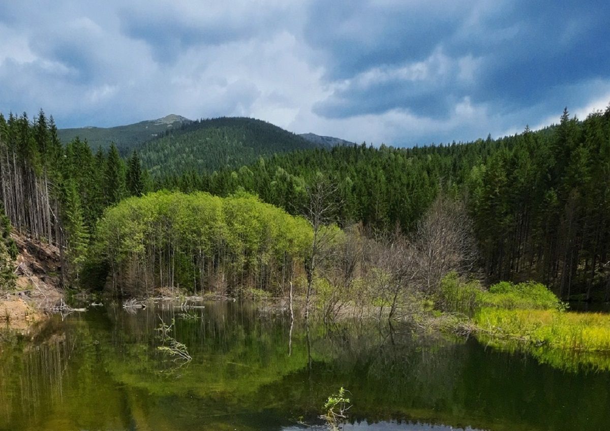 В Карпатах появилось новое озеро, которое называют Негровое - где находится озеро - Travel