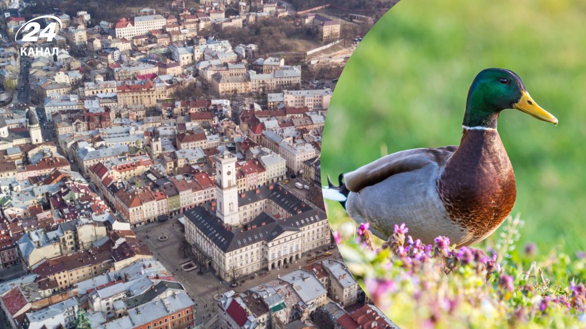 На этой улице Львова когда-то охотились на уток На этой улице Львова когда-то охотились на уток