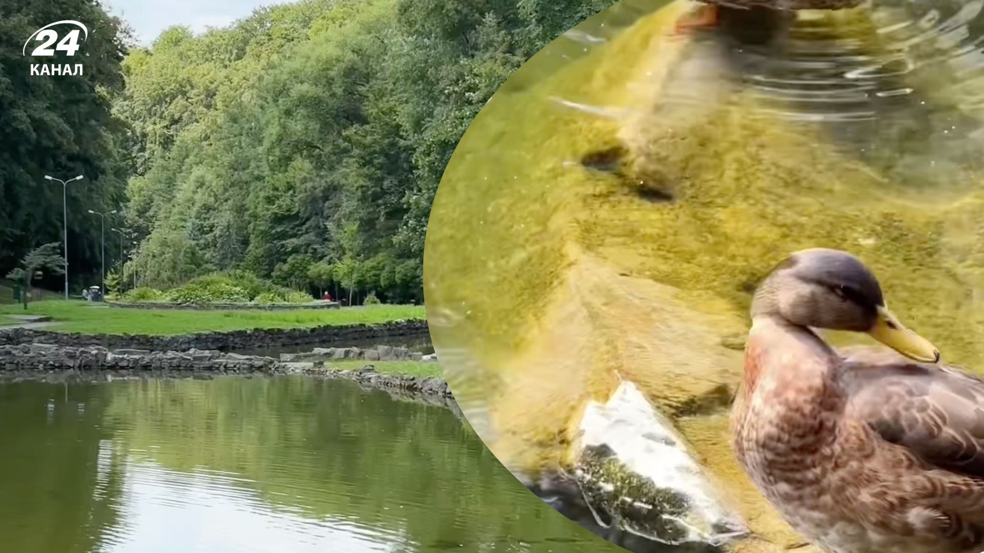 Парк Погулянка во Львове - где расположен и чем хорош для отдыха - Travel Парк Погулянка во Львове - где расположен и чем хорош для отдыха - Travel