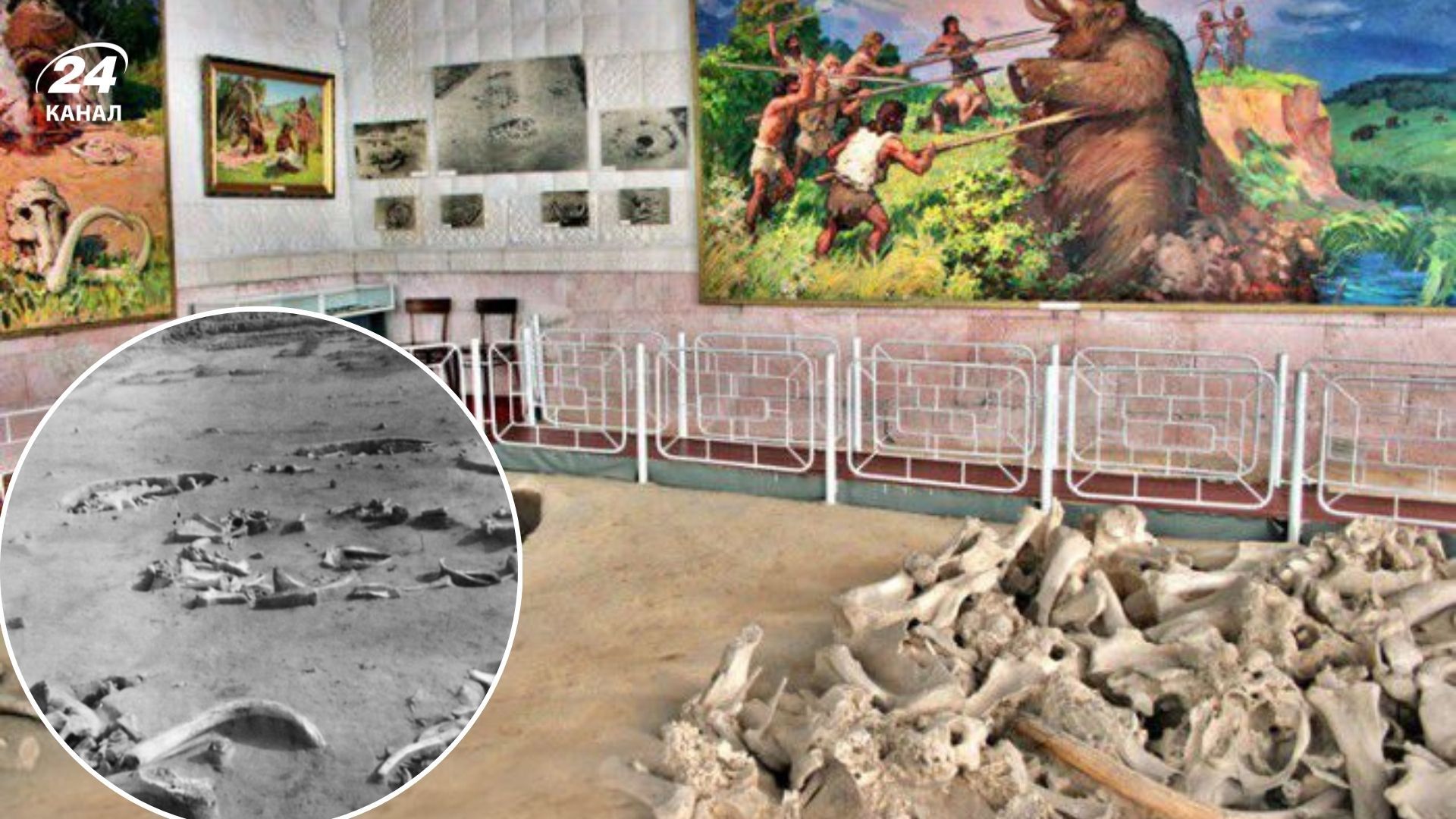 Добраничевская стоянка - что известно о месте, где нашли кости мамонтов