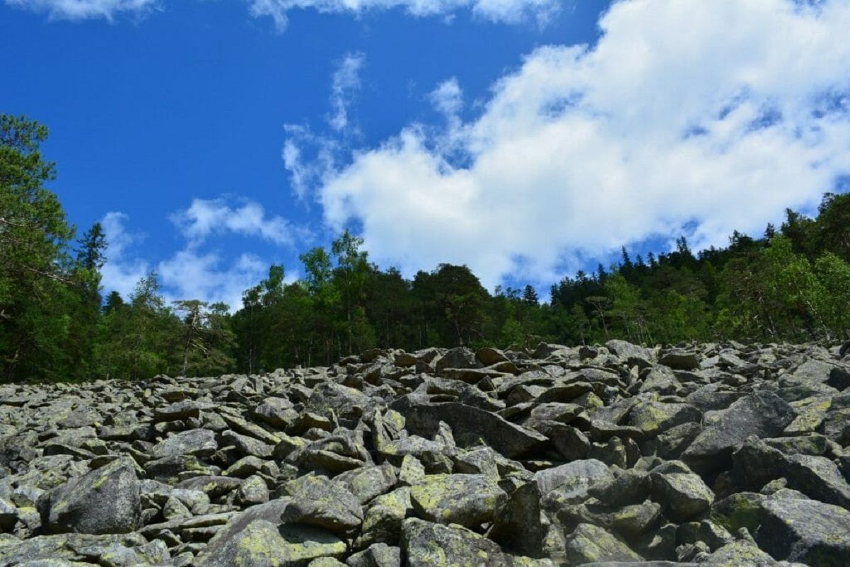 Де в Карпатах заборонено ходити туристам - Travel