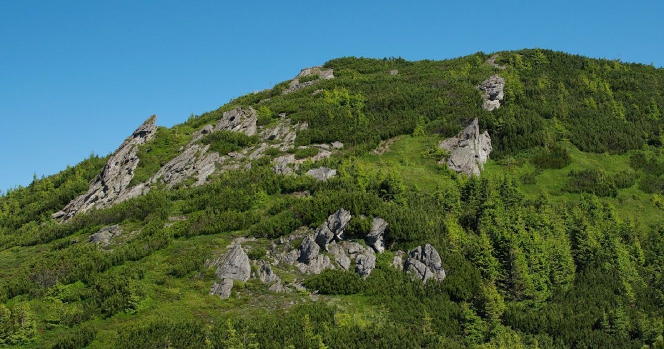 У Карпатах на горі Микулеска знаходиться бункер часів Першої світової війни - Travel У Карпатах на горі Микулеска знаходиться бункер часів Першої світової війни - Travel