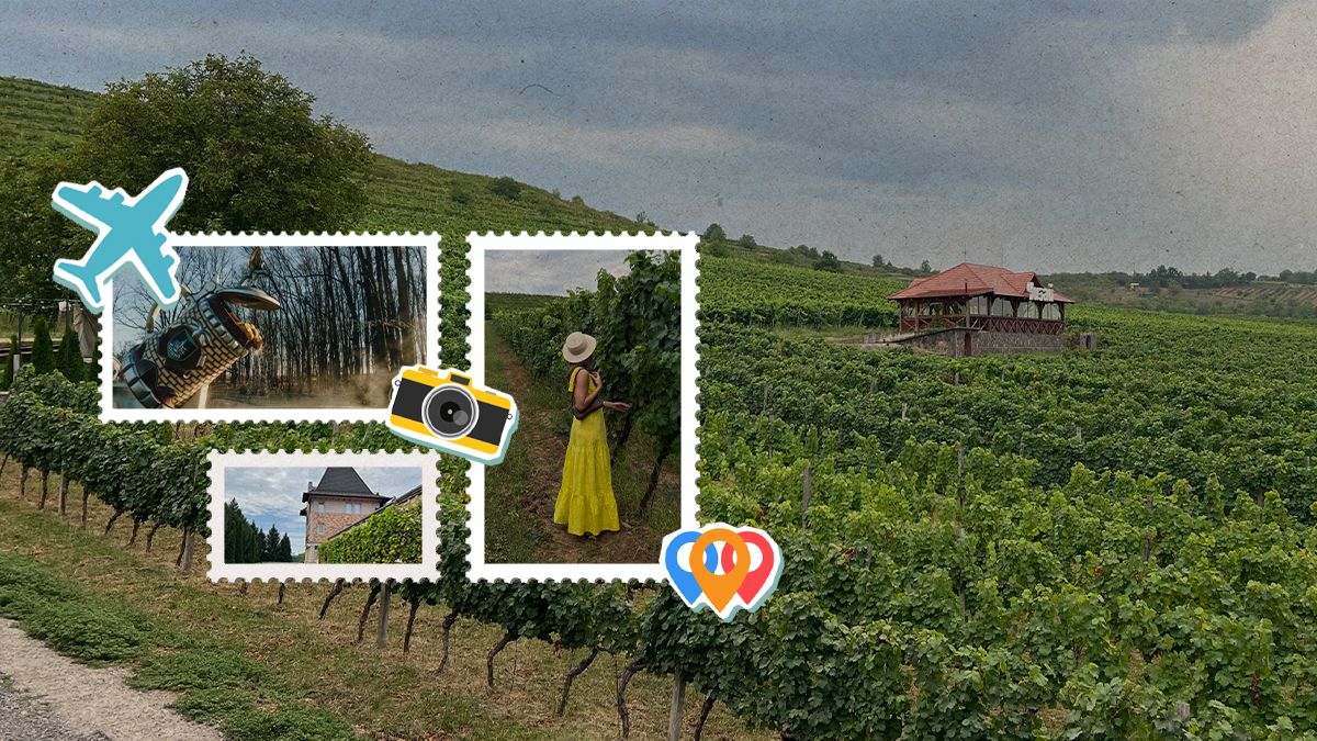 Вікенд на Закарпатті: виноградники, дегустації та релакс у термальних джерелах - Travel