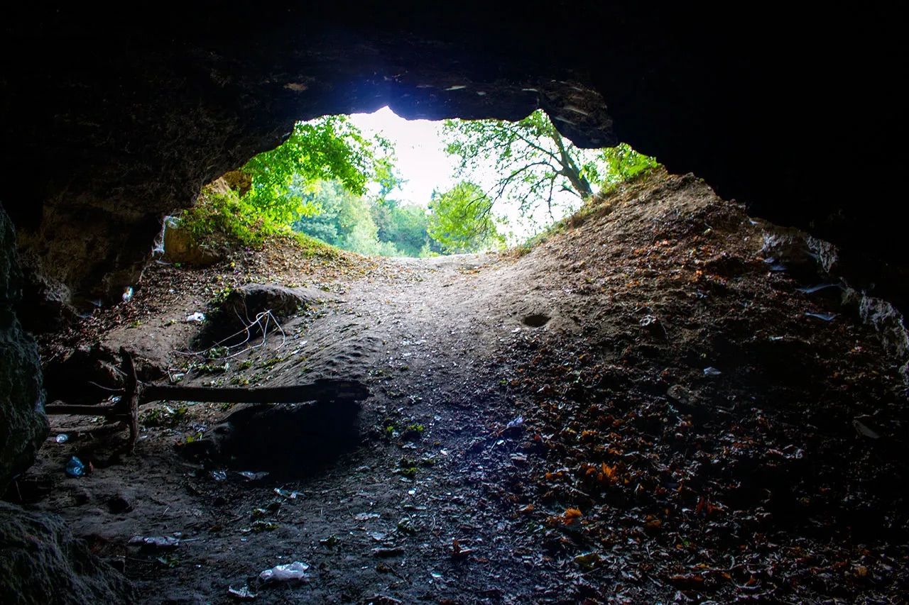 Медова печера у Львові