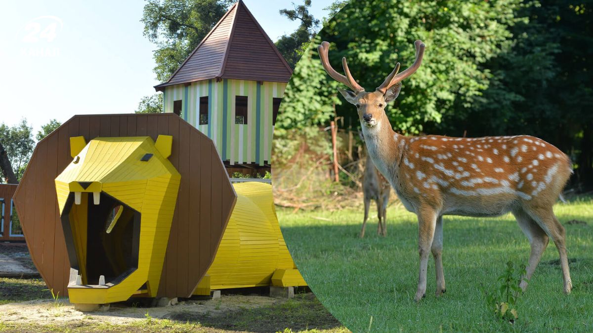 Дендропарк "Джерело" в селе Оброшино Дендропарк "Джерело" в селе Оброшино