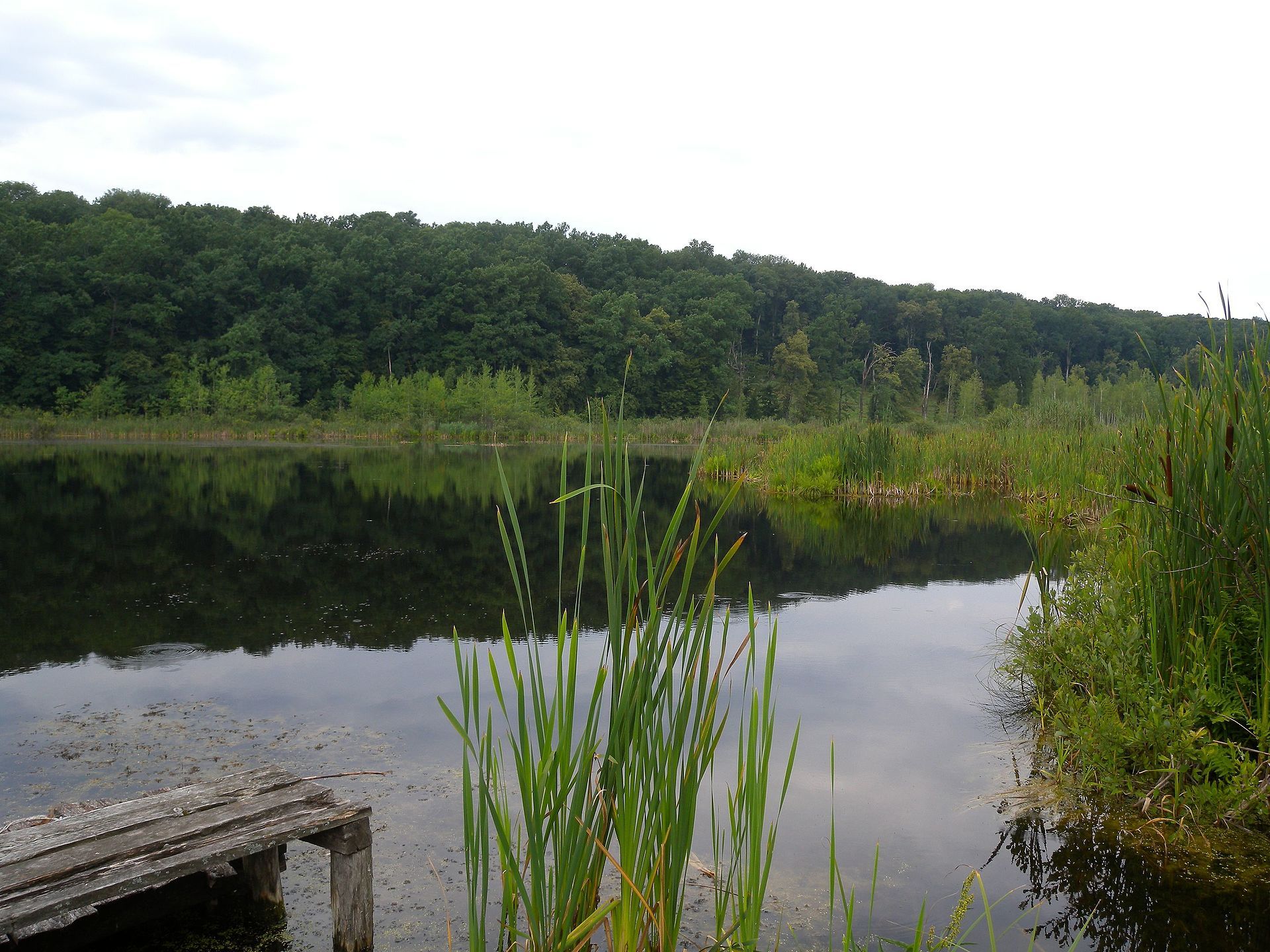 Самое загадочное озеро в Украине - где оно расположено, почему так называют - Travel