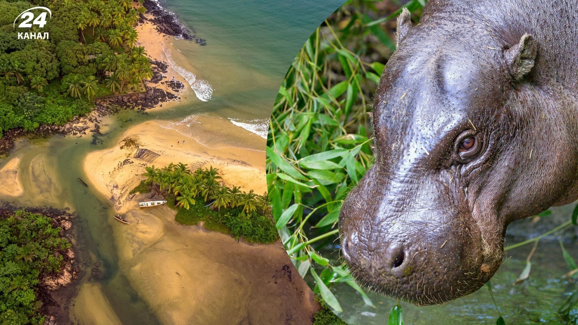 Куди поїхати відпочивати небанально - найкращий напрямок на 2026 рік - Travel