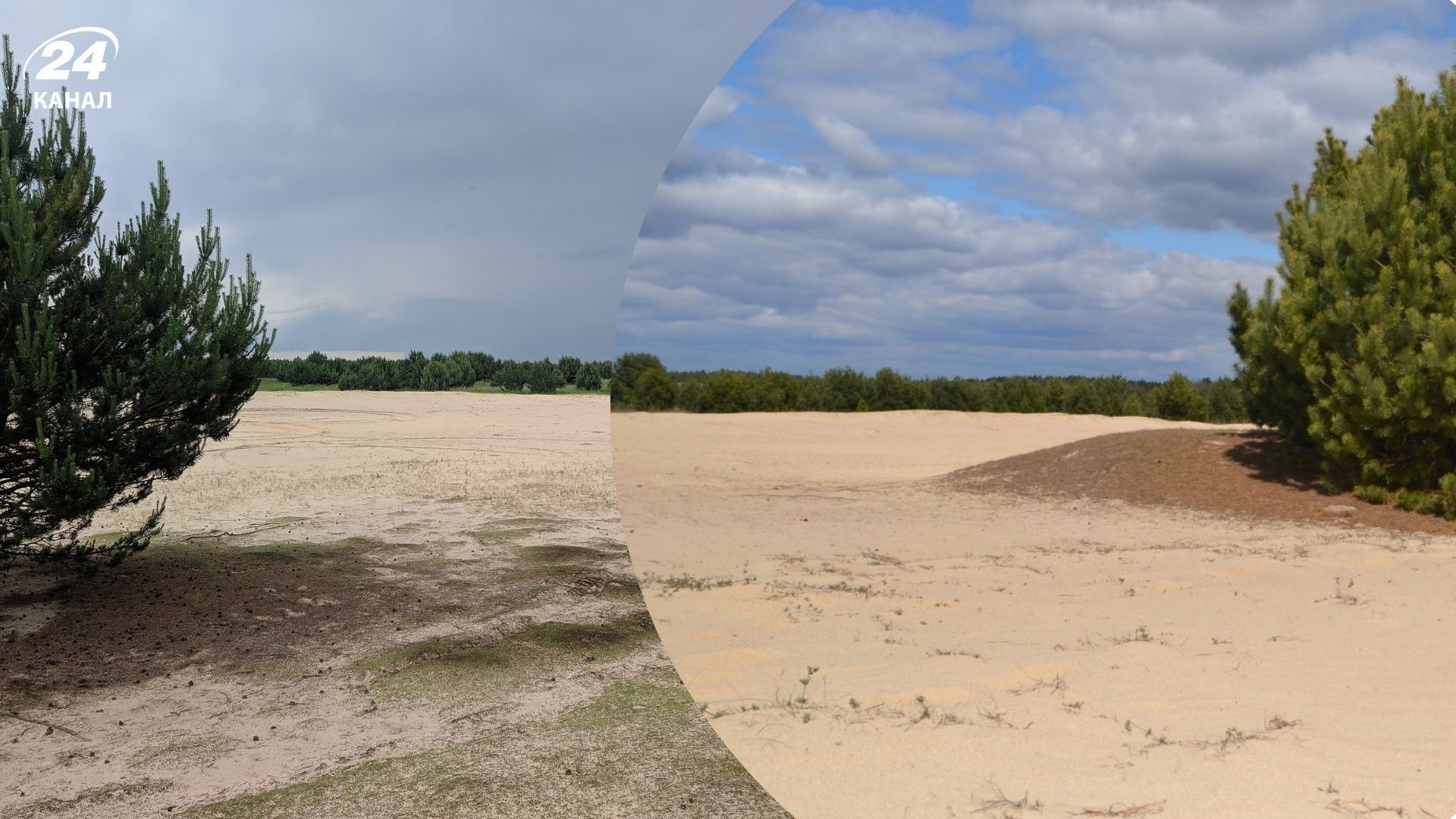 Львівська Сахара - сідкрийте для себе унікальну львівську пустелю Бродівська Сахара - Travel Львівська Сахара - сідкрийте для себе унікальну львівську пустелю Бродівська Сахара - Travel