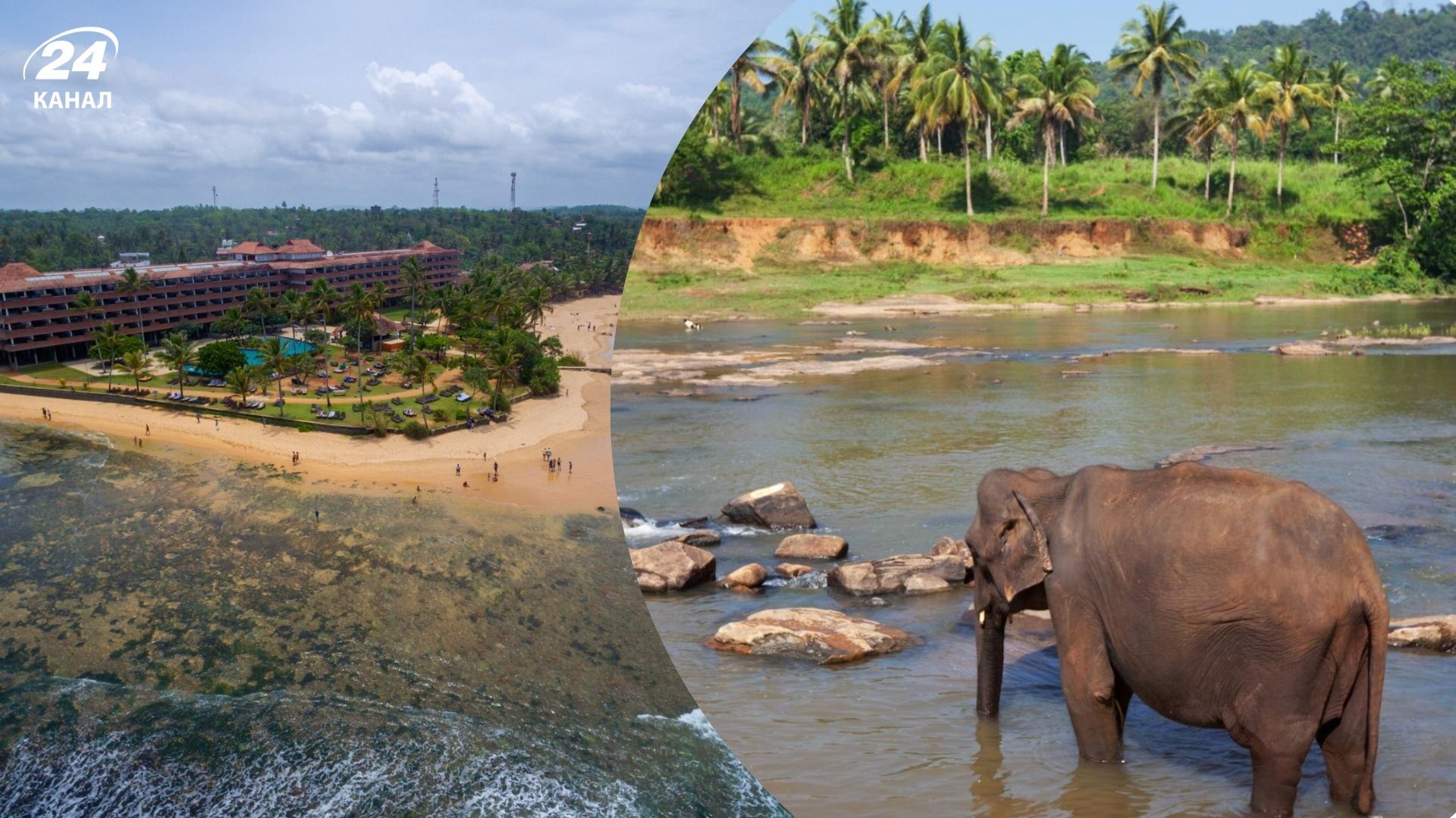 Поездка на Шри-Ланку - основные советы, что знать самое важное - Travel Поездка на Шри-Ланку - основные советы, что знать самое важное - Travel