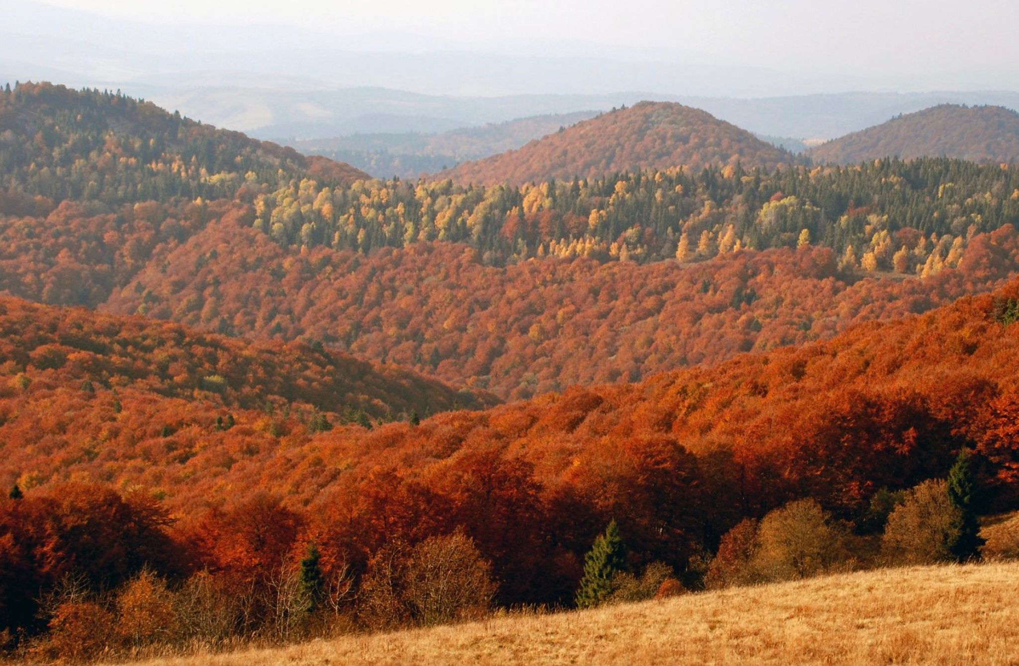 Що подивитись у Нацпарку Сколівські бескиди Що подивитись у Нацпарку Сколівські бескиди