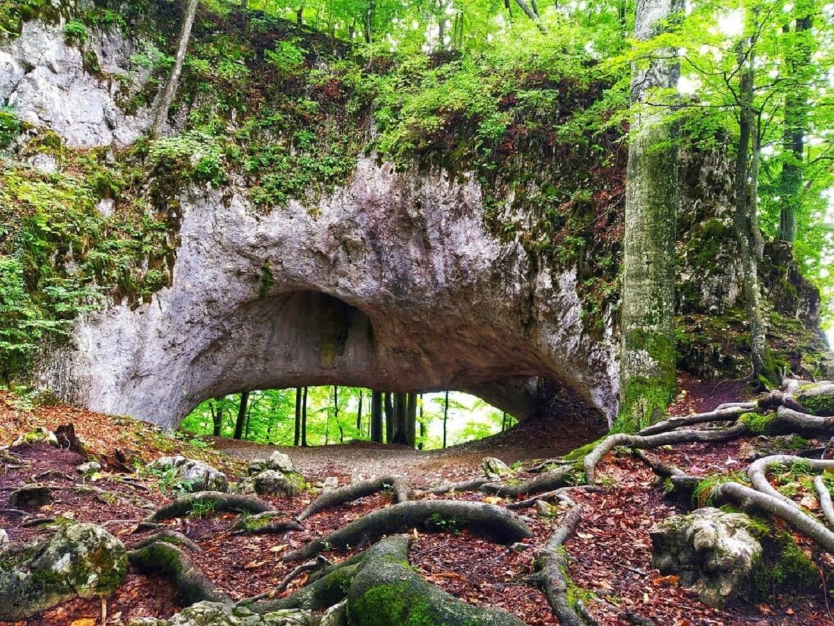 Карстовый мост в Карпатах - где находится и маршрут, как добраться - Travel