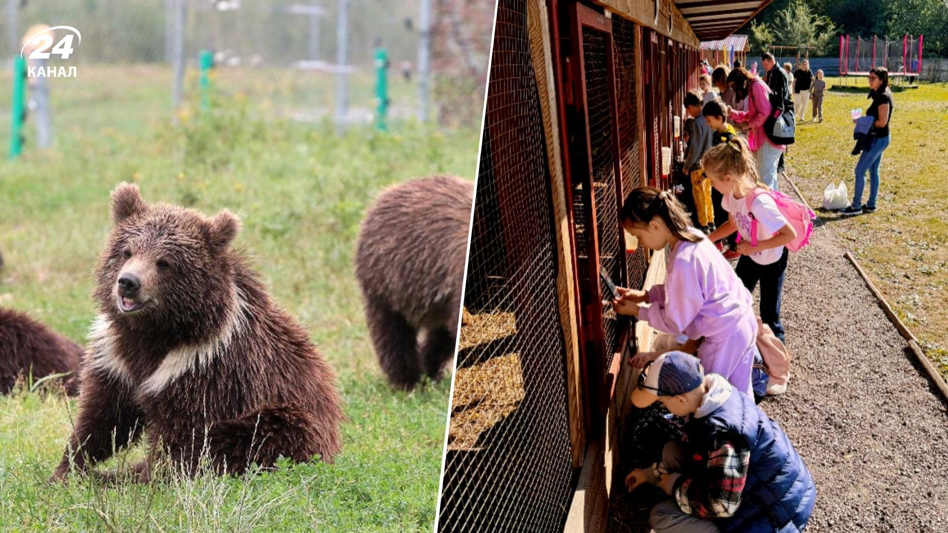 Куди поїхати з дітьми біля Львова - 6 цікавих локацій для всієї сім'ї Куди поїхати з дітьми біля Львова - 6 цікавих локацій для всієї сім'ї