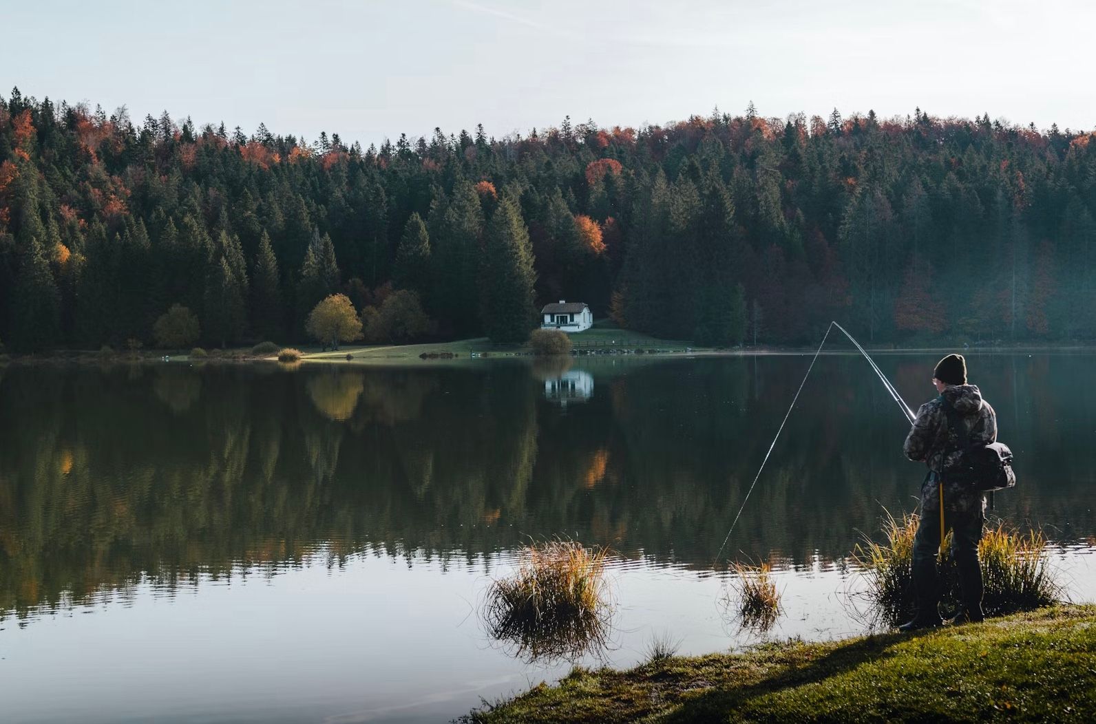Где бесплатно порыбачить возле Львова Где бесплатно порыбачить возле Львова