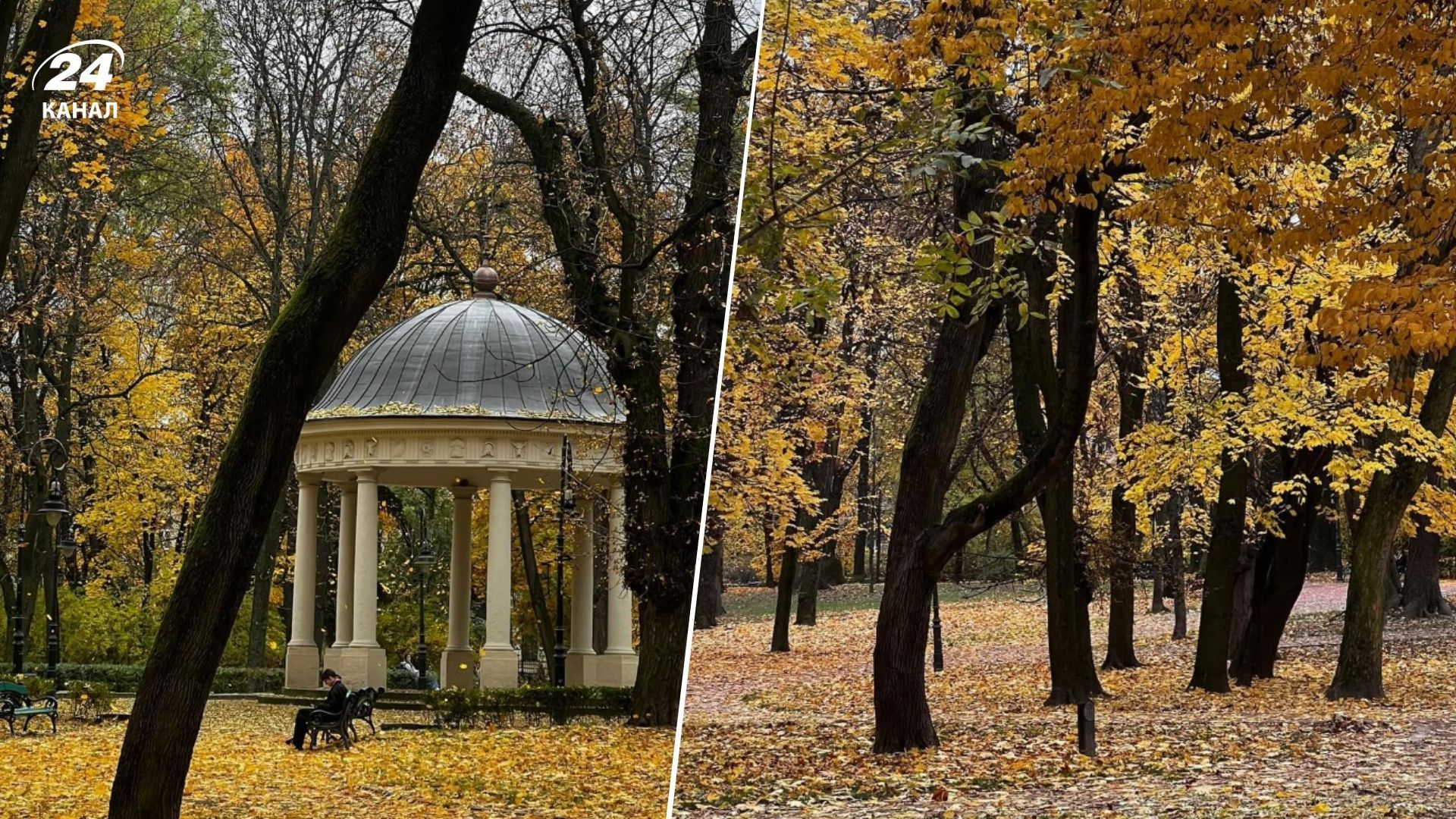 Де у Львові є Єзуїтський сад і яка його історія Де у Львові є Єзуїтський сад і яка його історія