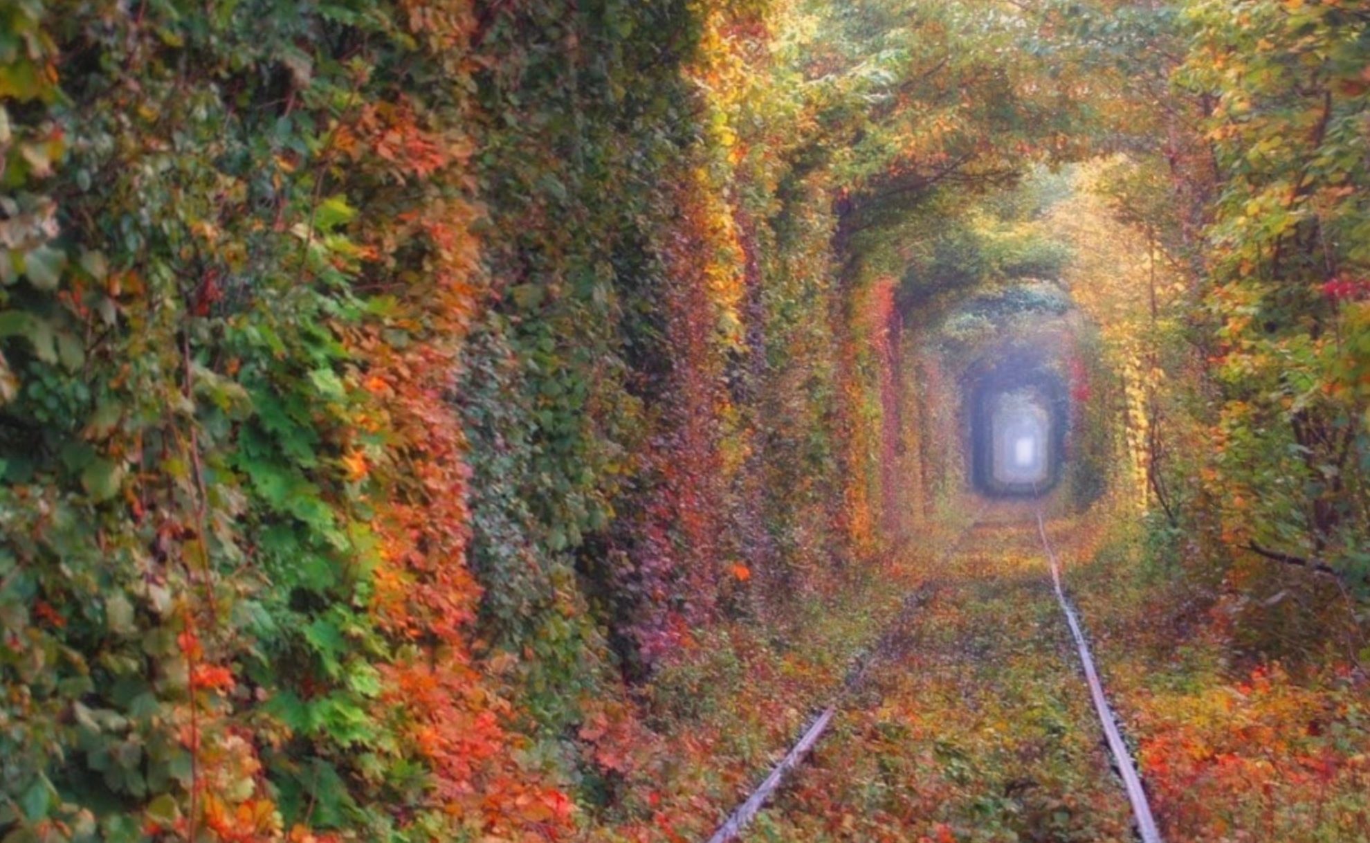 Тунель кохання у Клевані