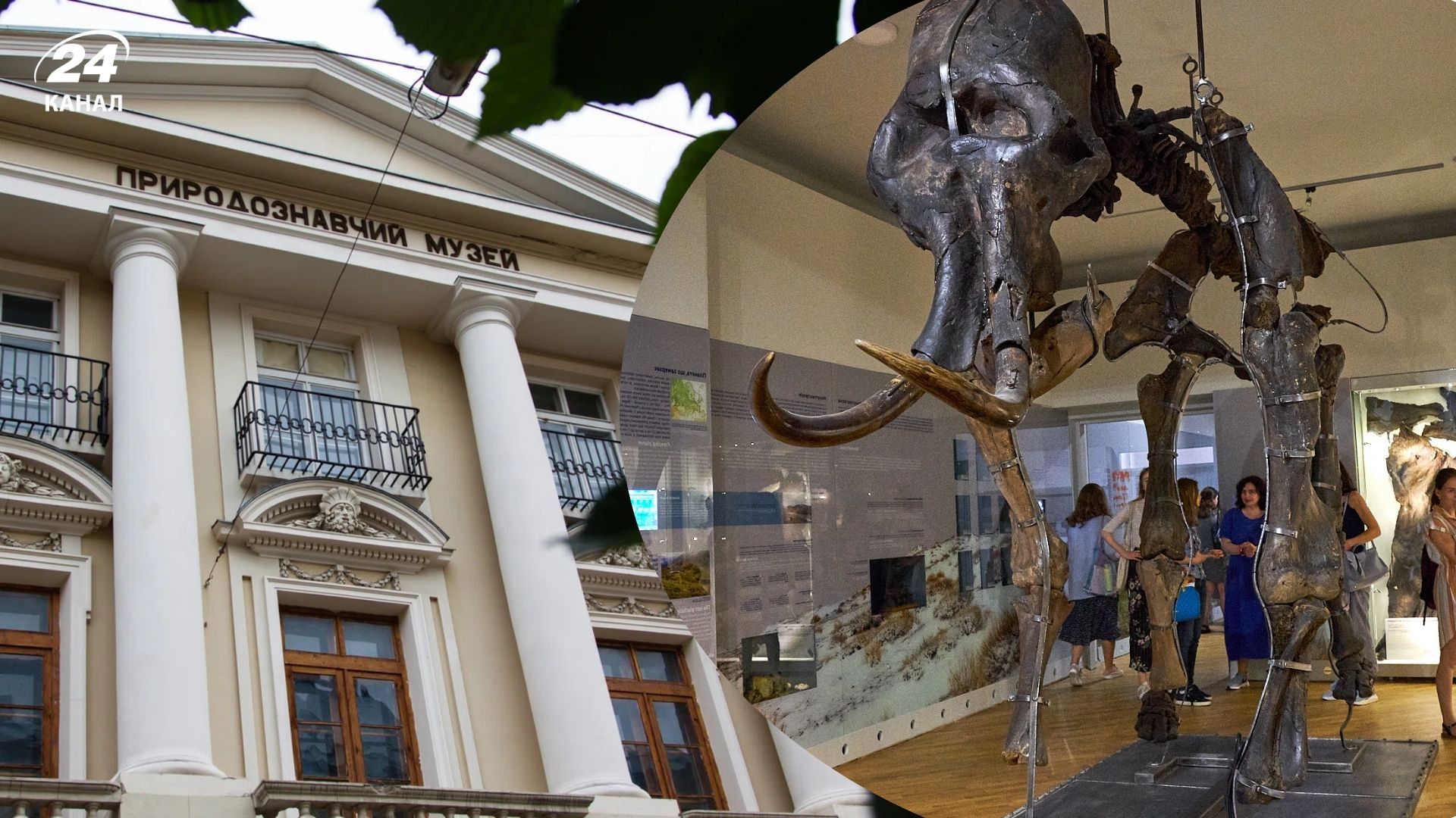 Скелет мамонта во Львове - куда пойти, чтобы на него посмотреть - Travel Скелет мамонта во Львове - куда пойти, чтобы на него посмотреть - Travel