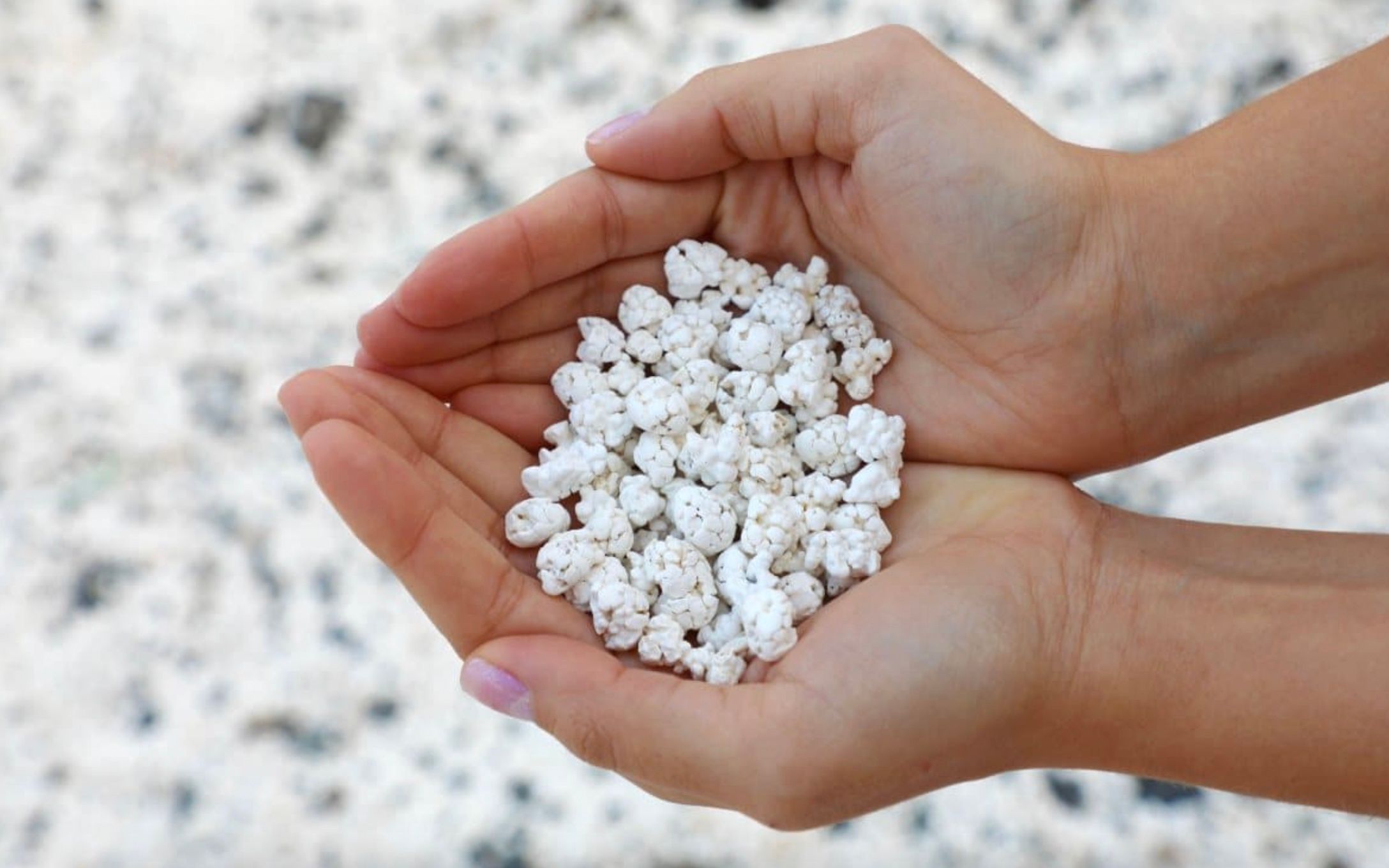 Пляж, де замість піску попкорн Пляж, де замість піску попкорн