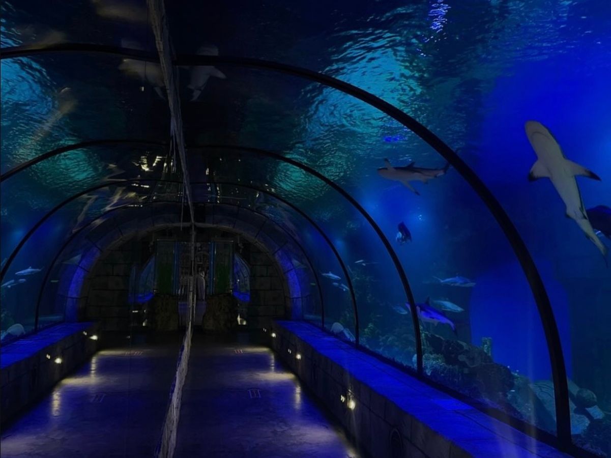 Океанариум во Львове Океанариум во Львове